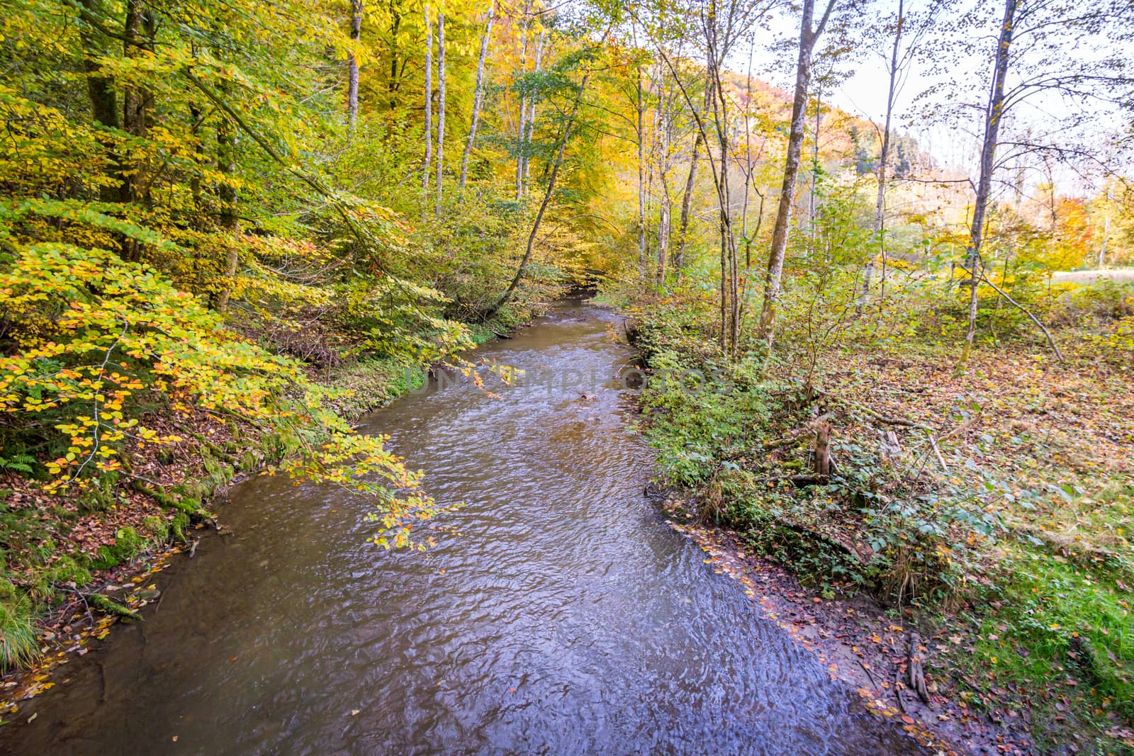 Fantastic autumn hike along the Aachtobel to the Hohenbodman observation tower by mindscapephotos