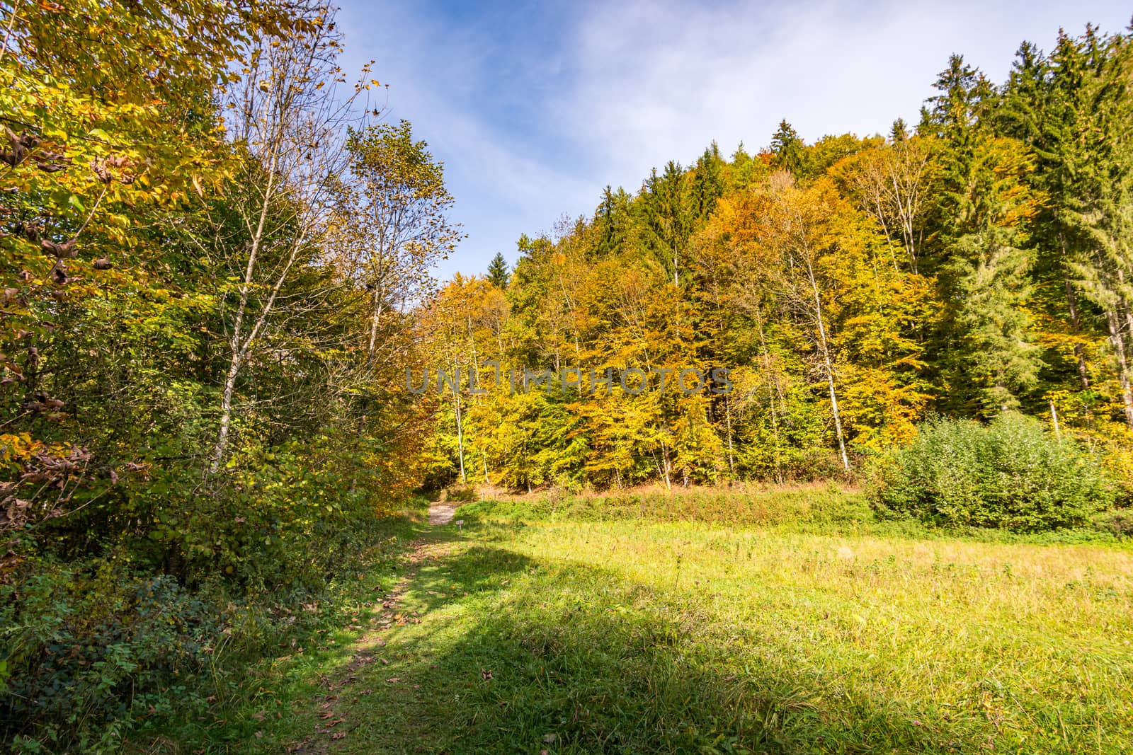 Fantastic autumn hike along the Aachtobel to the Hohenbodman observation tower by mindscapephotos