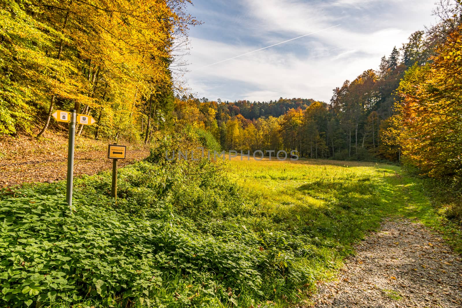 Fantastic autumn hike along the Aachtobel to the Hohenbodman observation tower by mindscapephotos