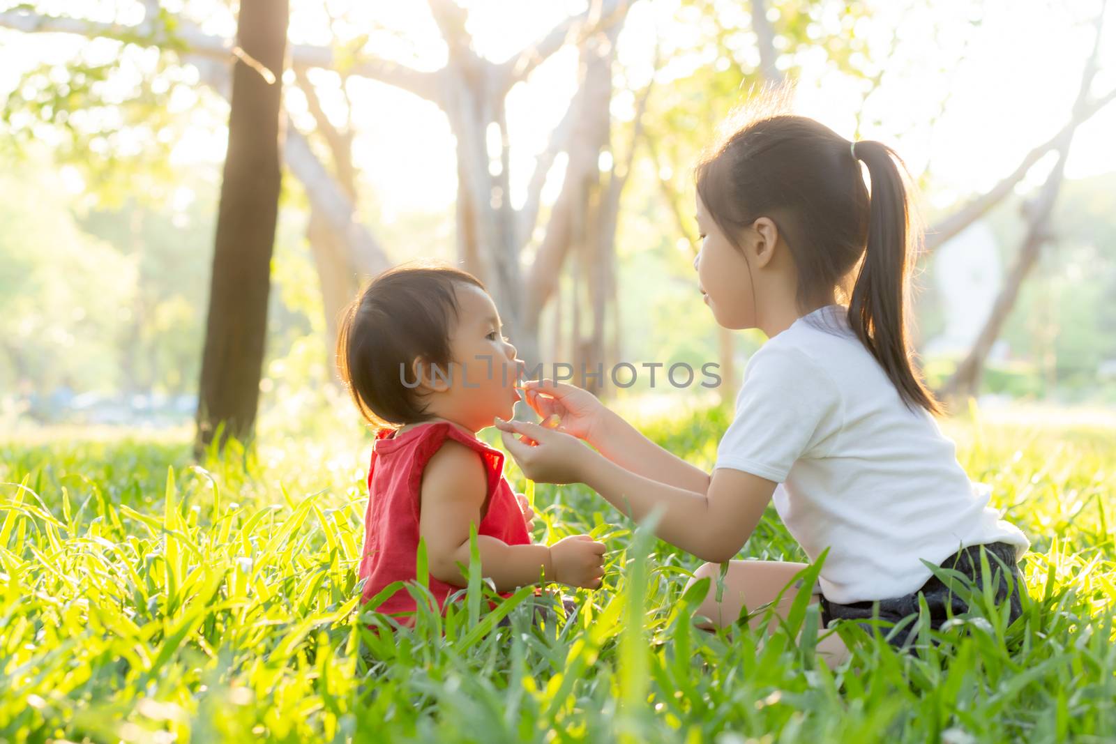 Beautiful young asian kid sitting playing in summer in the park with enjoy and cheerful on green grass, children activity with relax and happiness together on meadow, family and holiday concept.