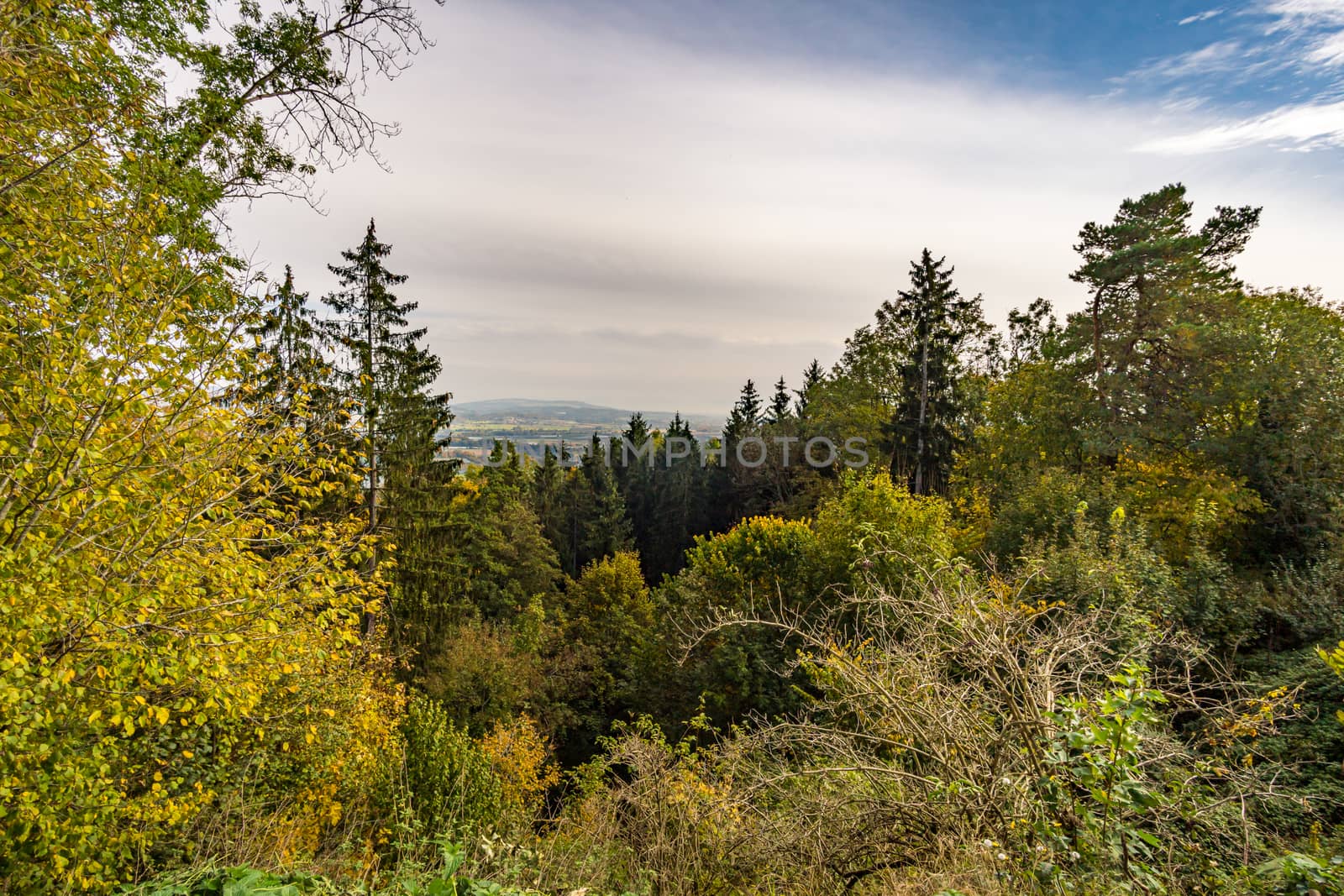 Fantastic autumn hike along the Aachtobel to the Hohenbodman observation tower by mindscapephotos