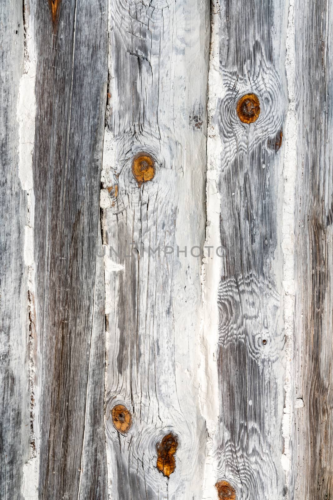 Wooden Rustic texture or background. Aged wood wall and boards