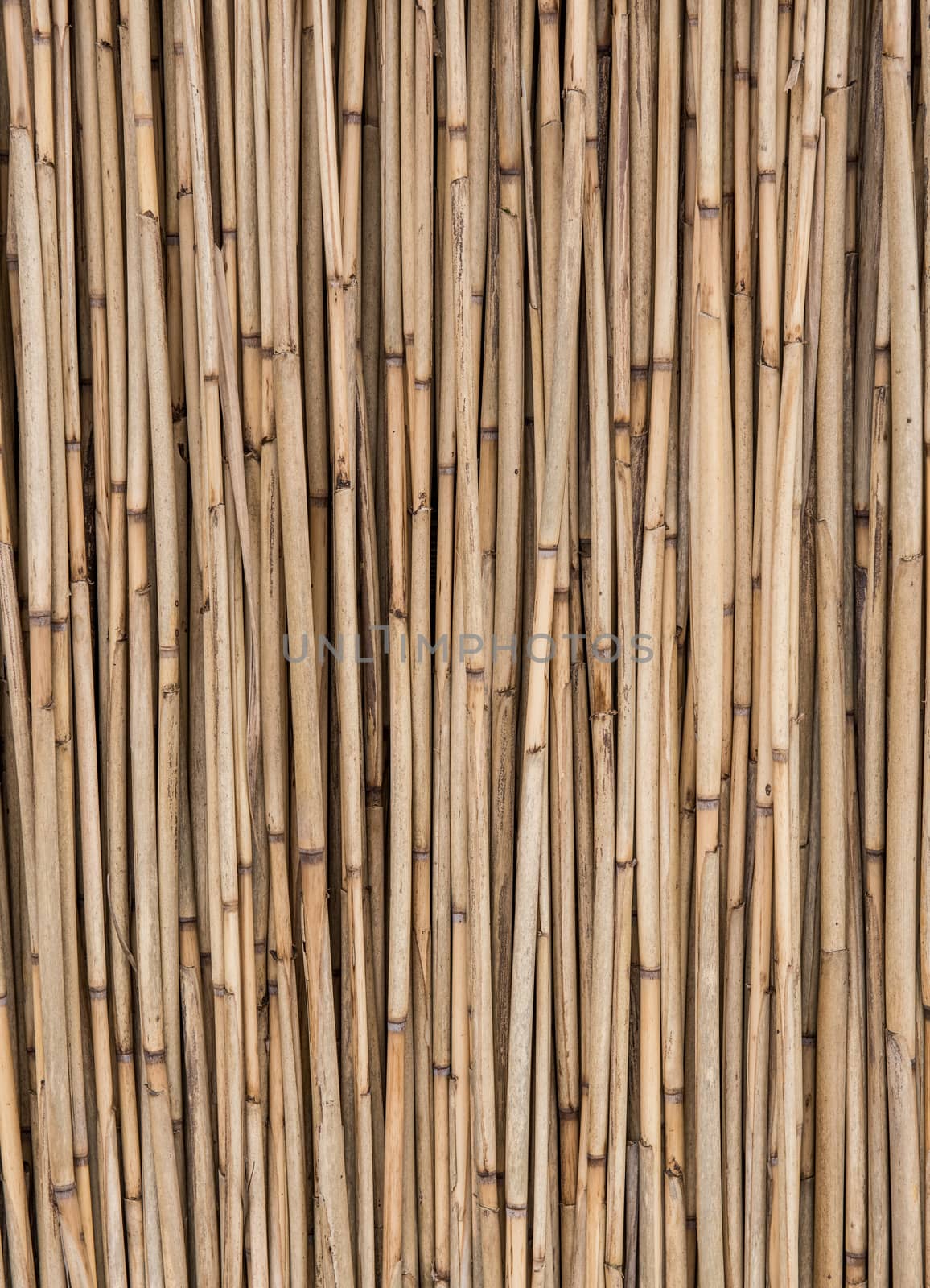 Old dry straw background, bamboo wall texture. Eco natural background concept