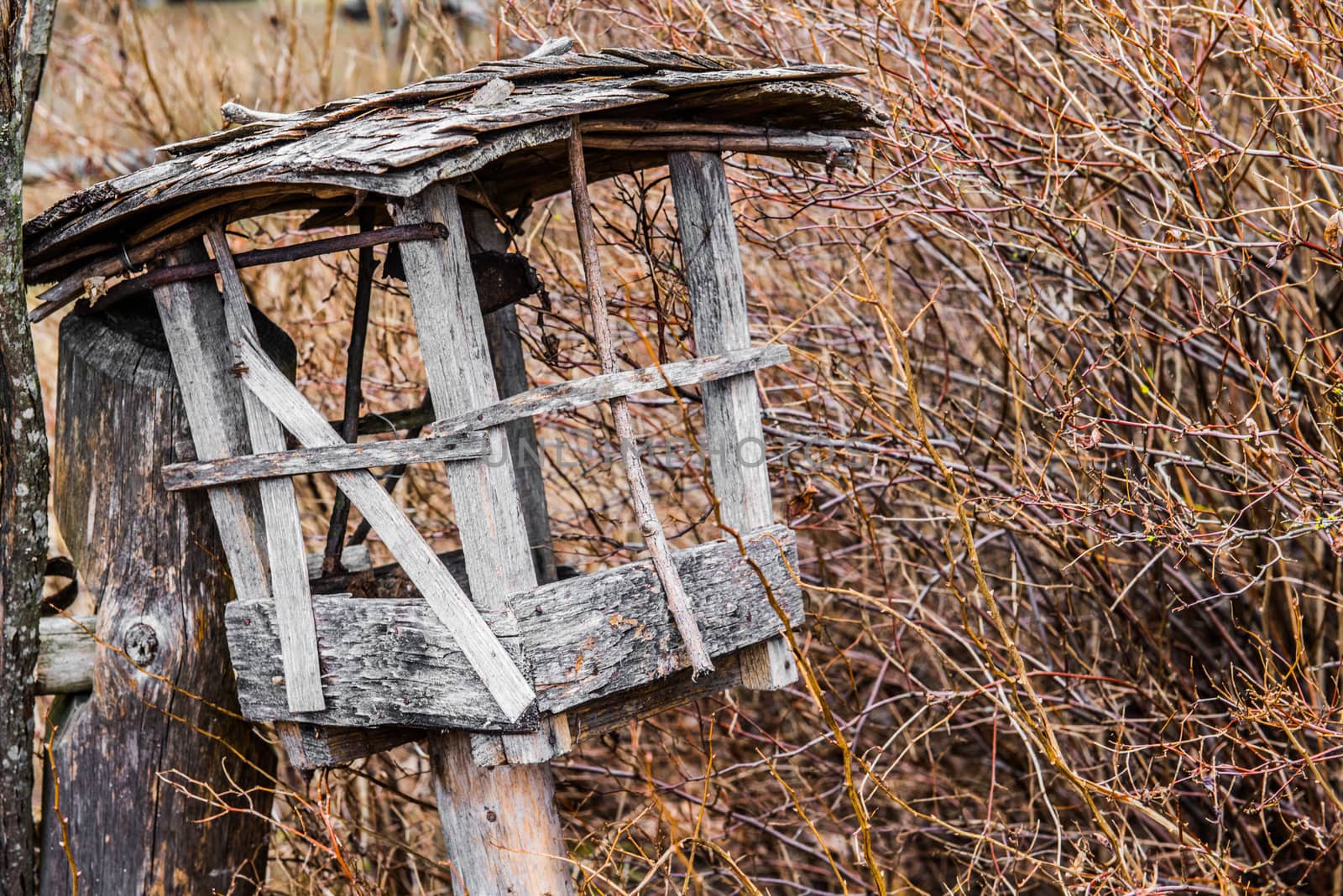 Old wooden tipical birdhouse. Wintering place for birds by infinityyy