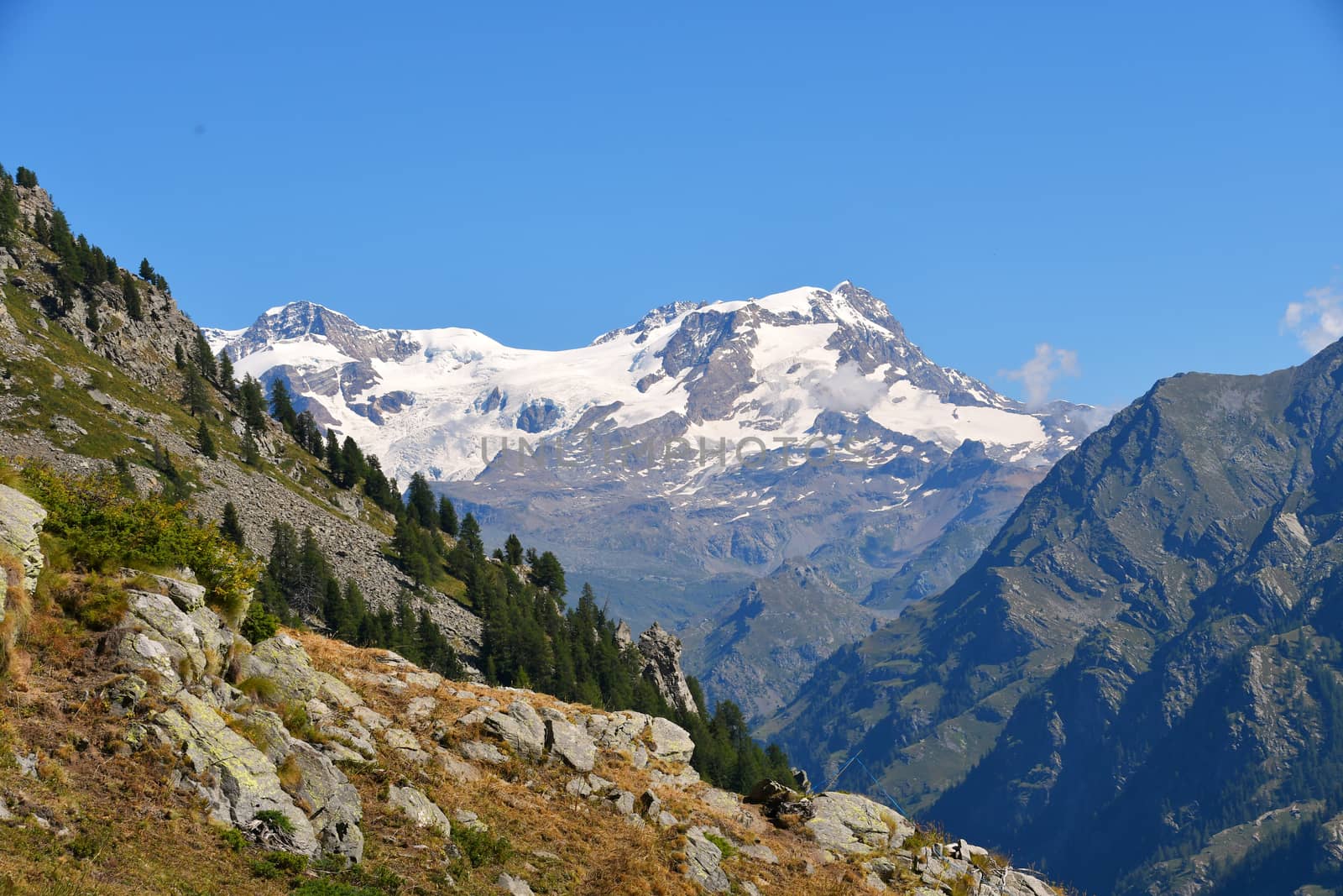 Monterosa seen from the Gressoney valley