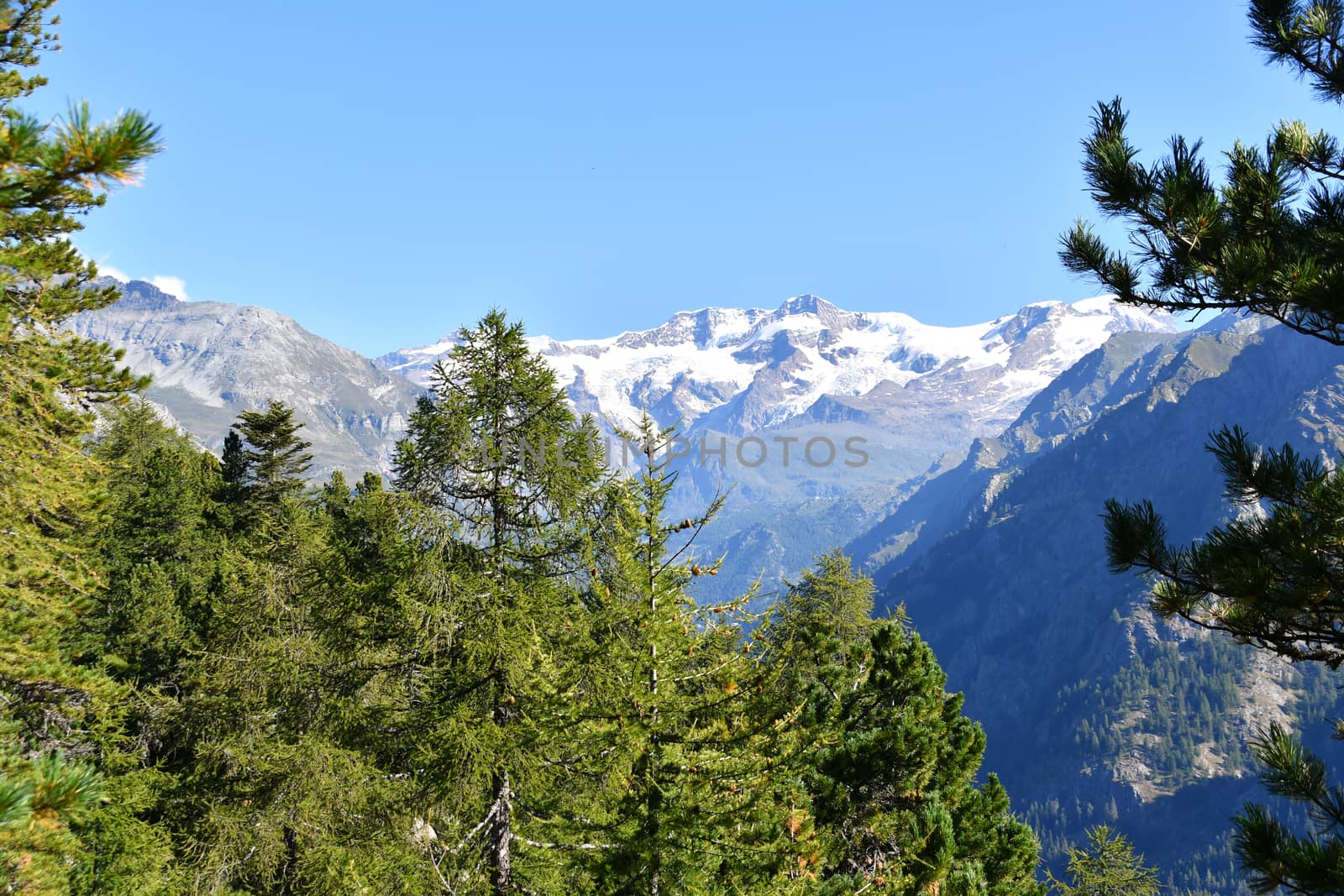 Monterosa seen from the Gressoney valley