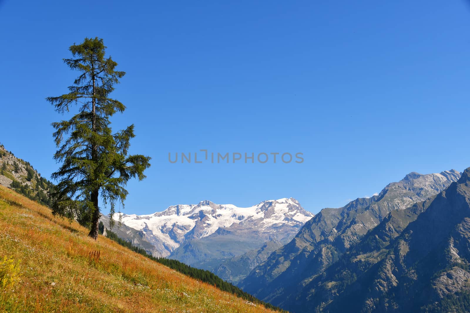 Monterosa seen from the Gressoney valley