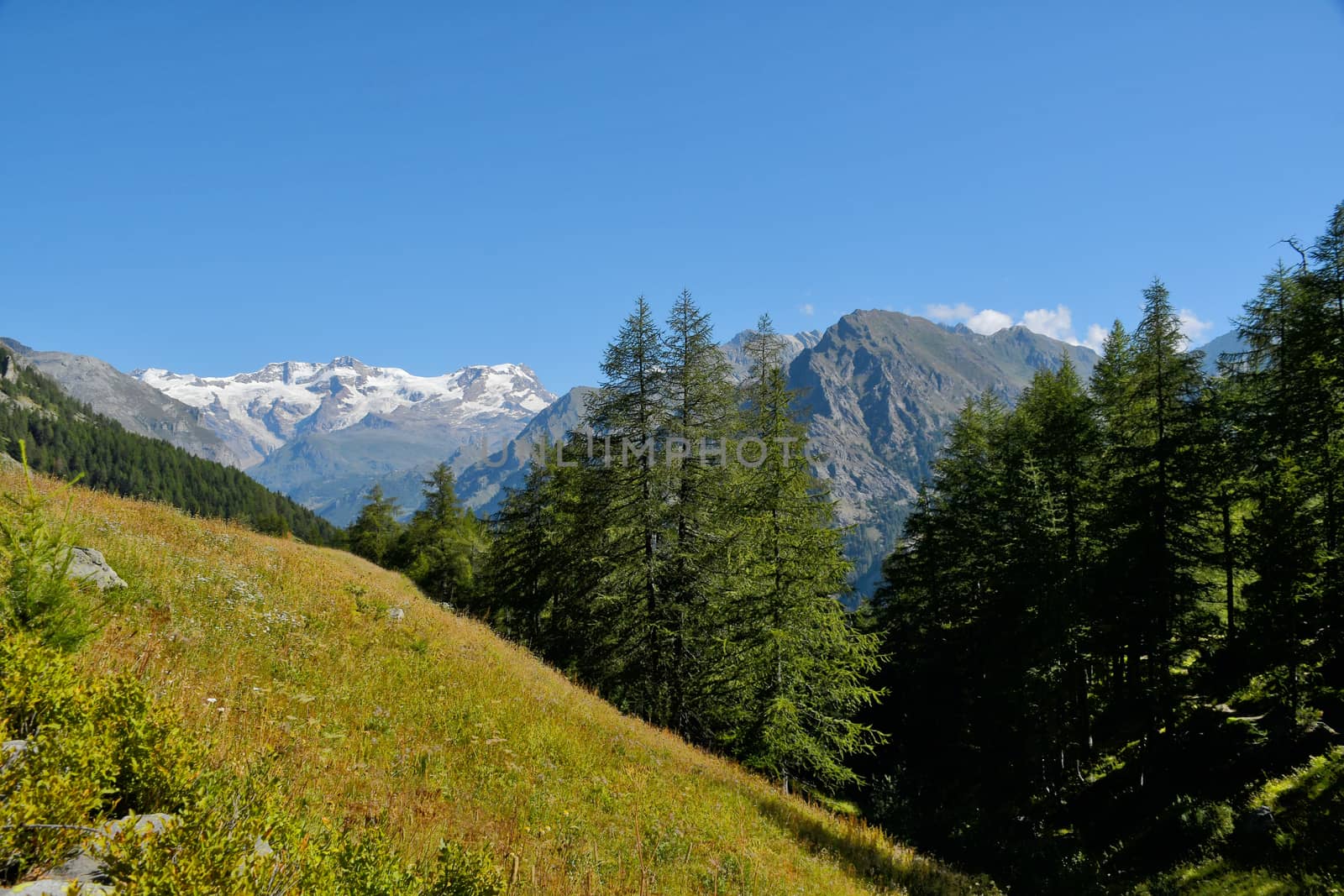 Monterosa seen from the Gressoney valley