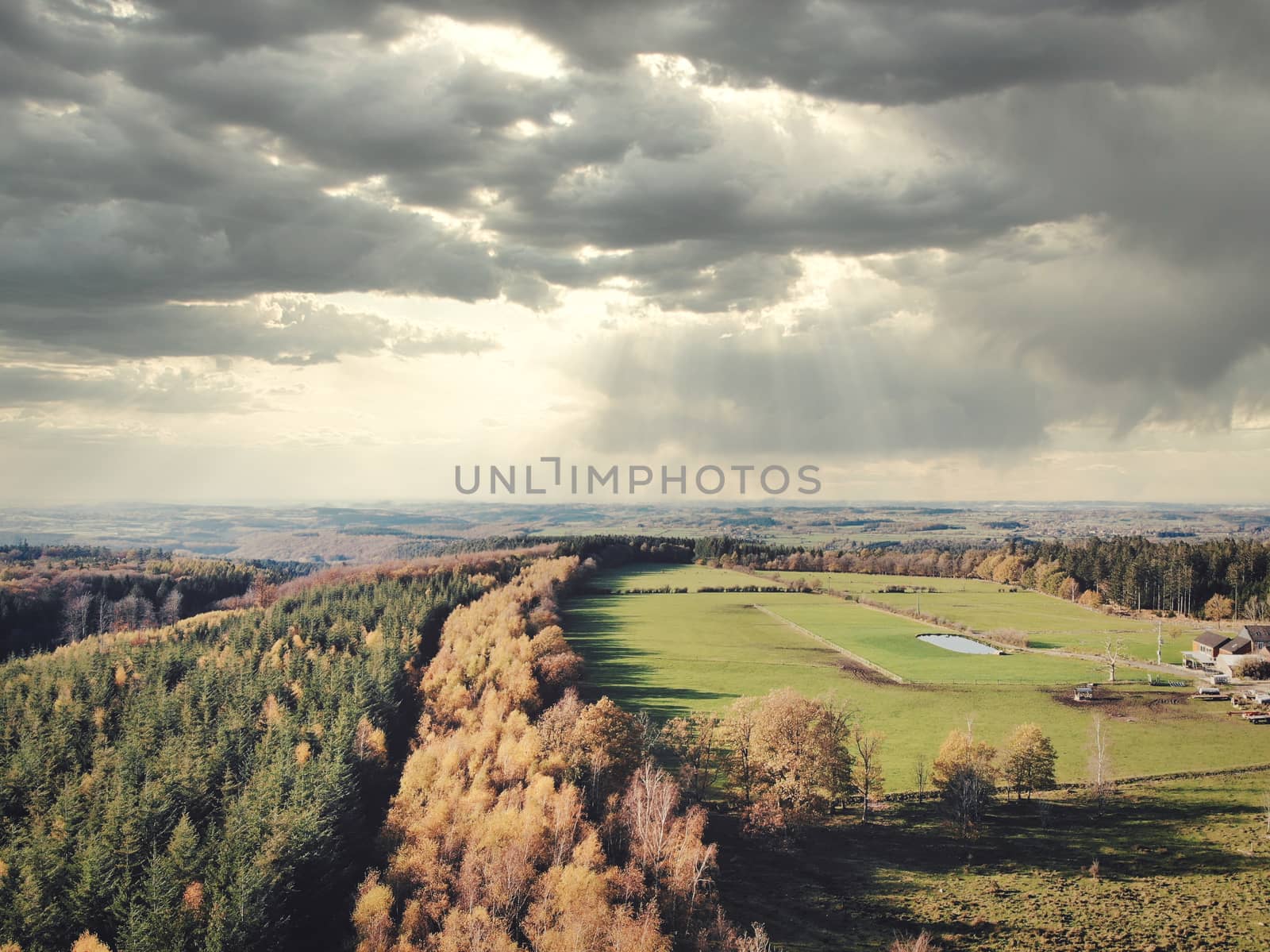 Aerial of pine forest and meadow and pasture in the Ardennes, Belgium. Beauty in nature.
