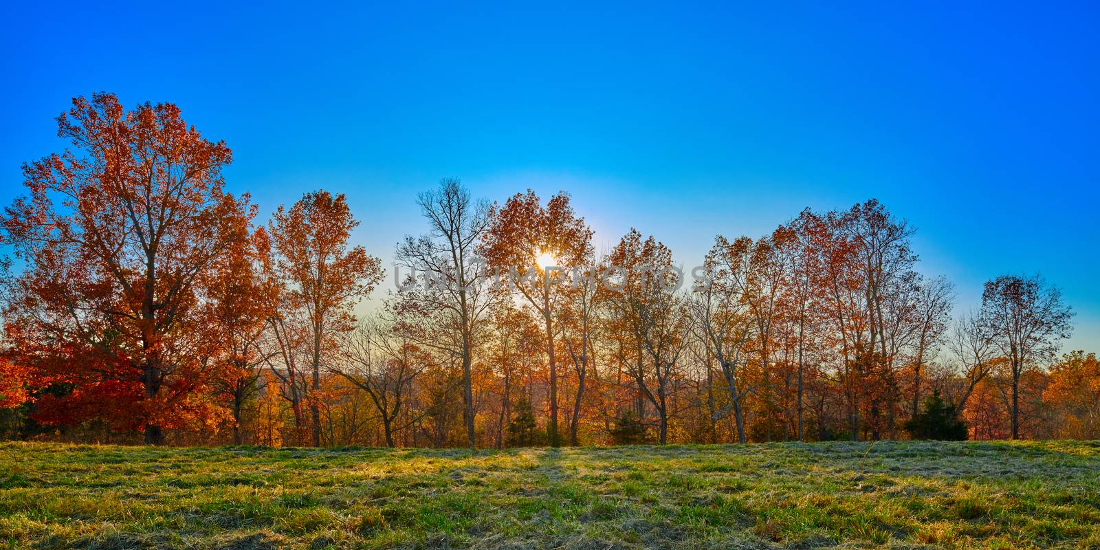Setting sun behind Fall colored trees with blue sky.