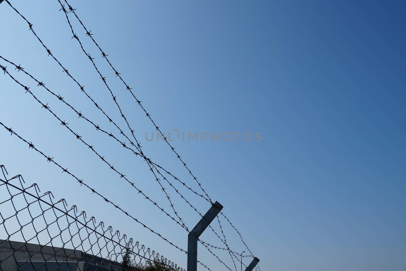 barbed wire fence against blue sky, copy space