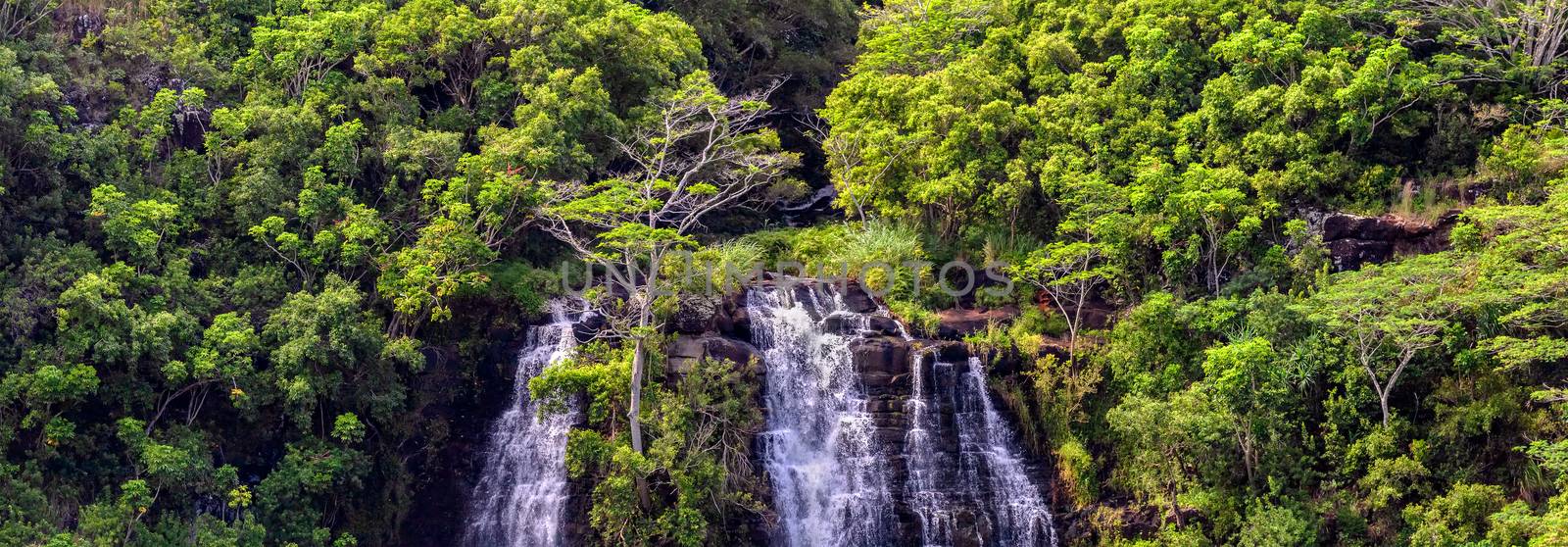 Beautiful panoramic view of Opaekaa Waterfalls in Hawaii, island of Kauai. Lush green tropical forest around the waterfall by DamantisZ