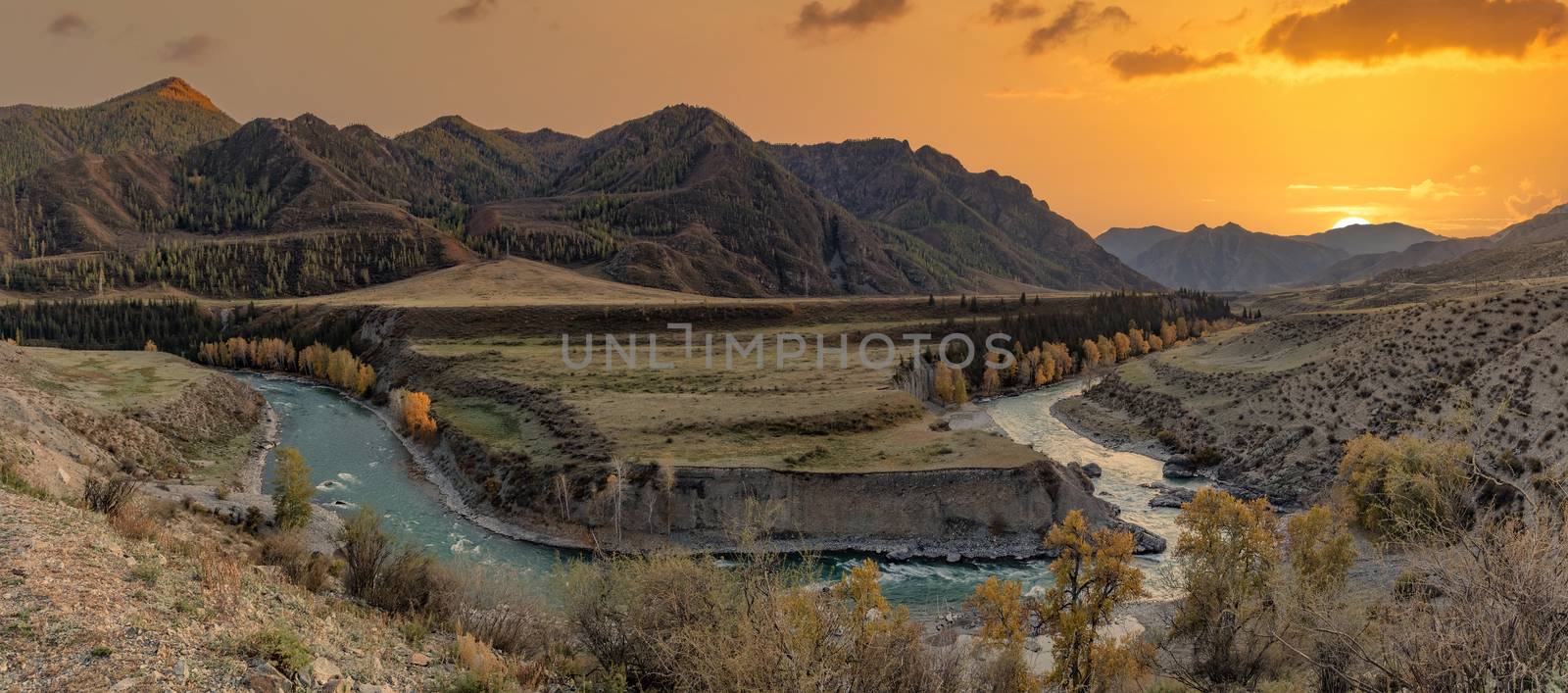 Altai mountains. Beautiful highland autumn panoramic landscape at sunset. Golden hour. Rocky foreground with golden trees and river. Beautiful golden sky and mountains as a background.Russia. Siberia by DamantisZ