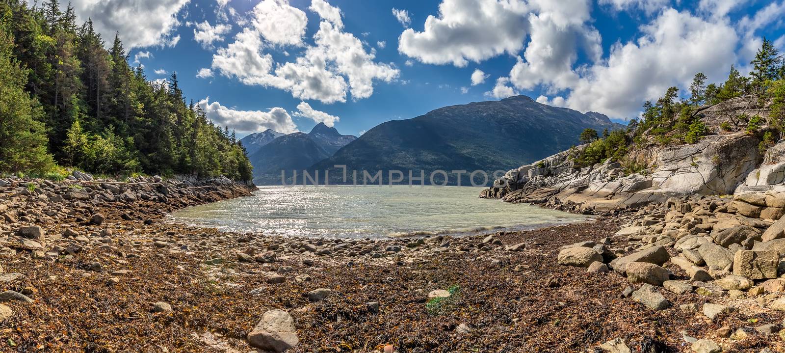 Beautiful panoramic view of Smuggler's Cove in Alaska. Mountains, forest, blue cloudy sky in the background. Rocky terrain in the foreground by DamantisZ