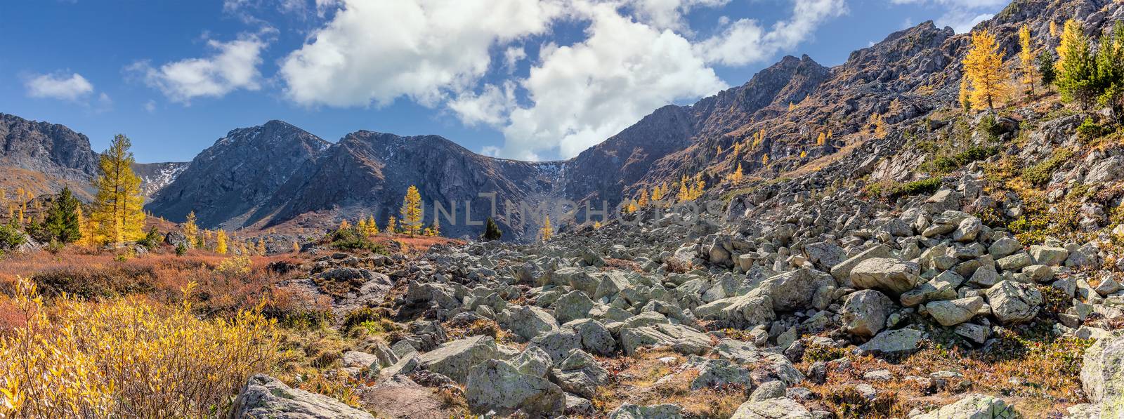 Altai mountains. Beautiful highland autumn panoramic landscape. Rocky foreground with golden trees. Blue cloudy sky as a background. Russia. Siberia by DamantisZ
