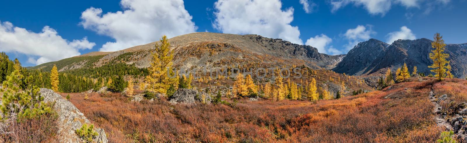 Altai mountains. Beautiful highland autumn panoramic landscape. Rocky foreground with golden trees. Blue cloudy sky as a background. Russia. Siberia.