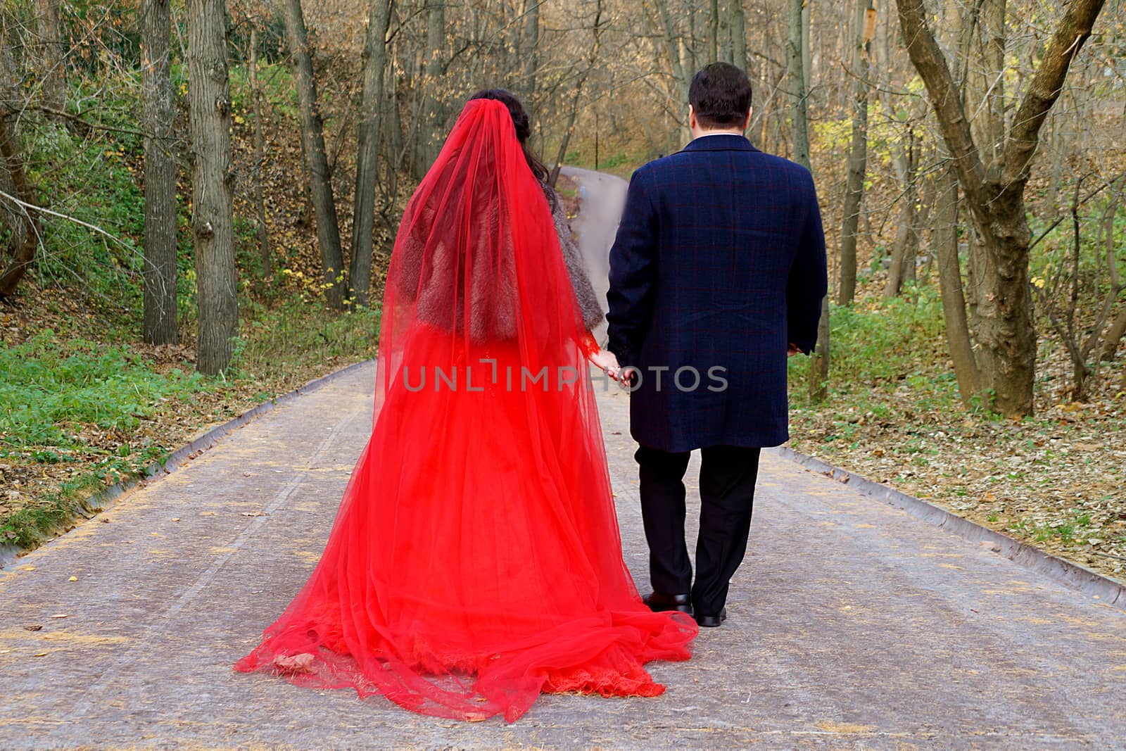 The bride in a red dress and the groom walk along the road in the park, rear view