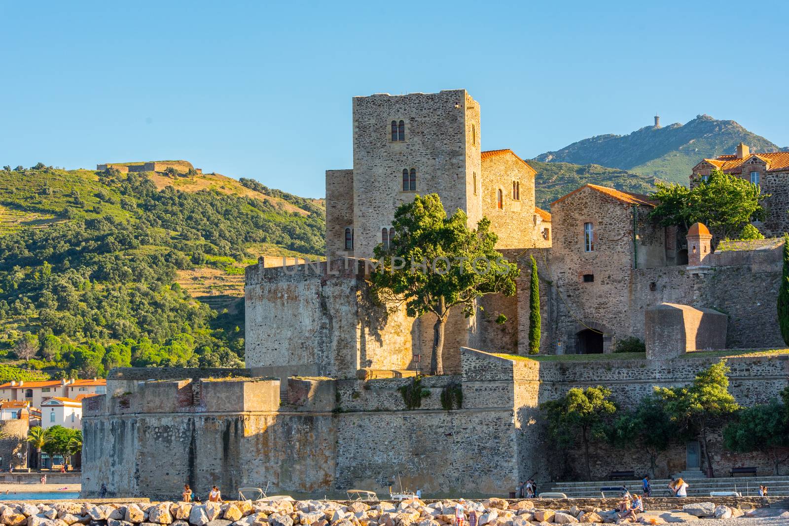 Old town of Collioure, France, a popular resort town on Mediterr by martinscphoto