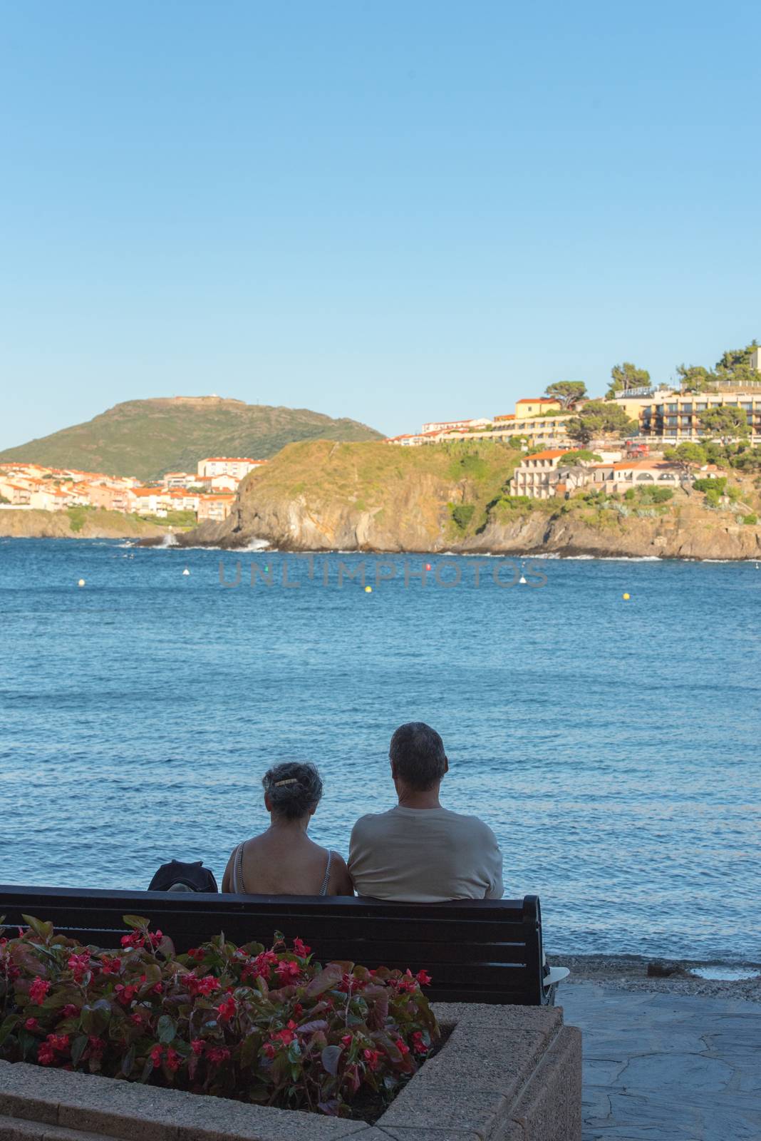 Coliure, France :  2020 june 22 :  Old town of Collioure, France, a popular resort town on Mediterranean sea, panoramic view with the Royal castle in sunrise light