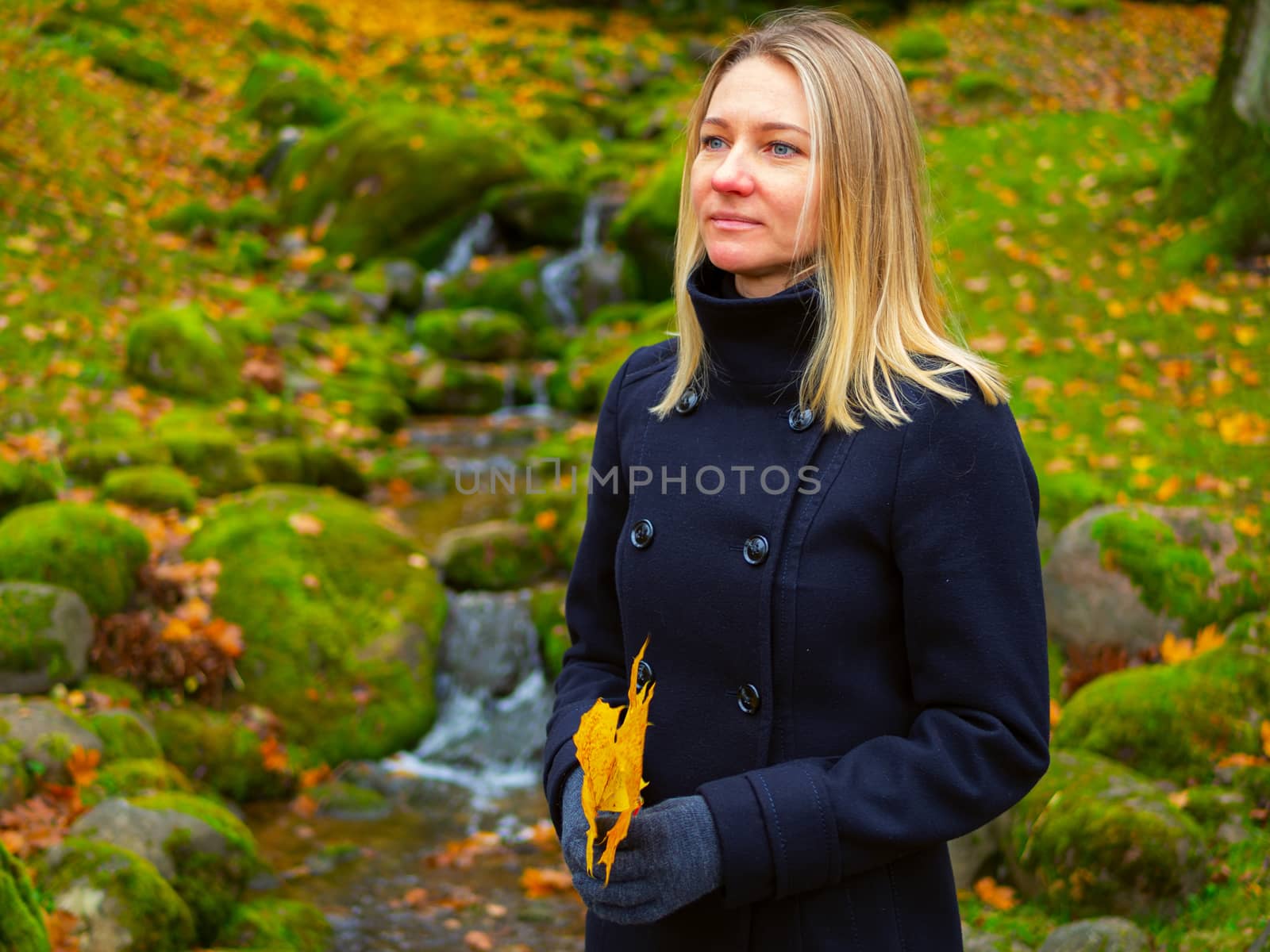 Young woman picks up fallen colorful autumn leaves. Girl collect yellow leaf. woman walking in the autumn Park