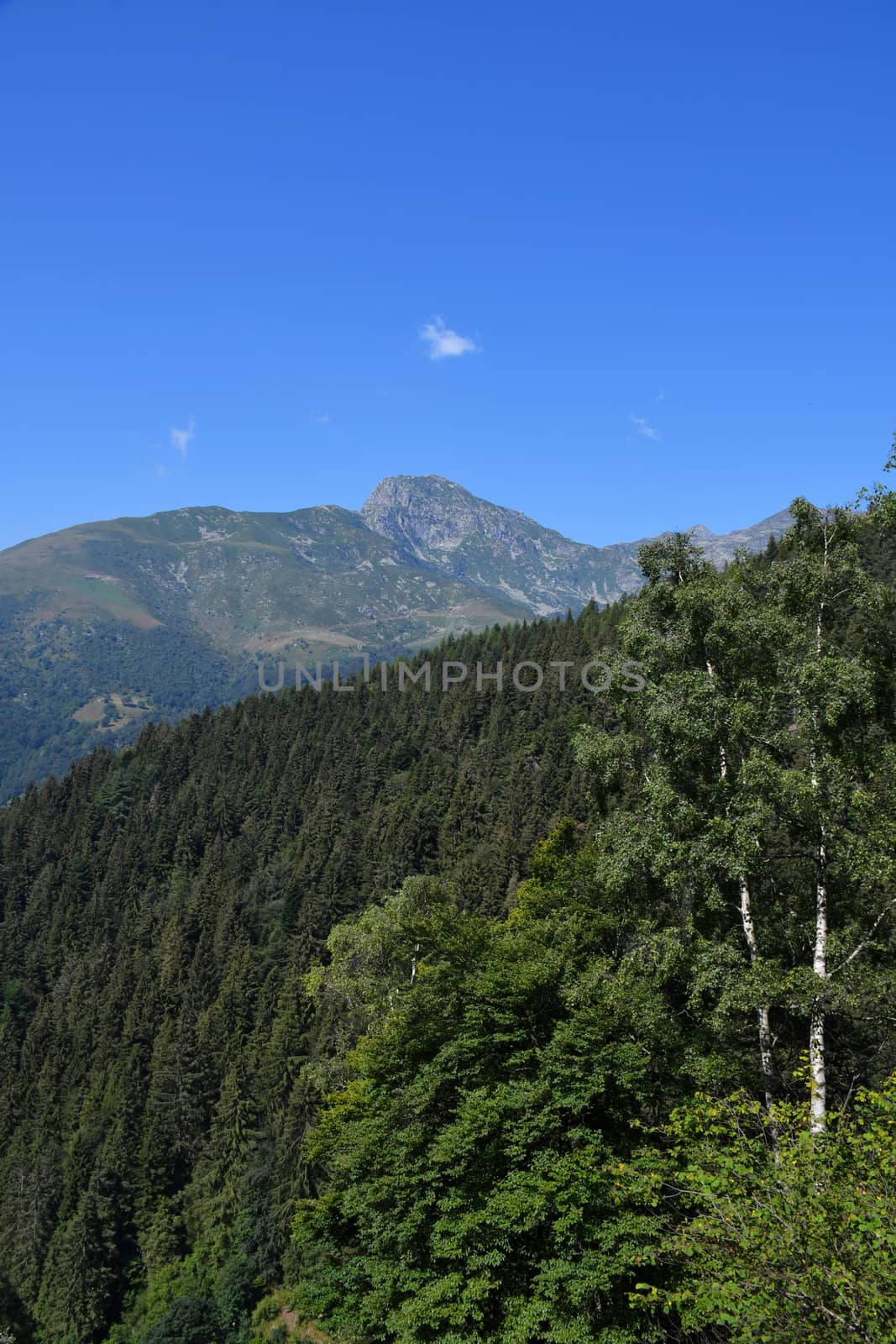 Mount Mucrone, seen from the east, overlooks the Biella area