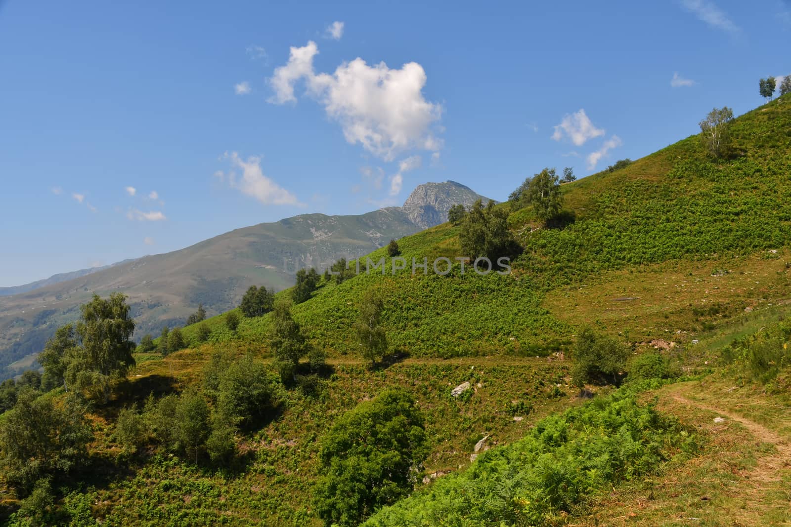 Mount Mucrone, seen from the east, overlooks the Biella area