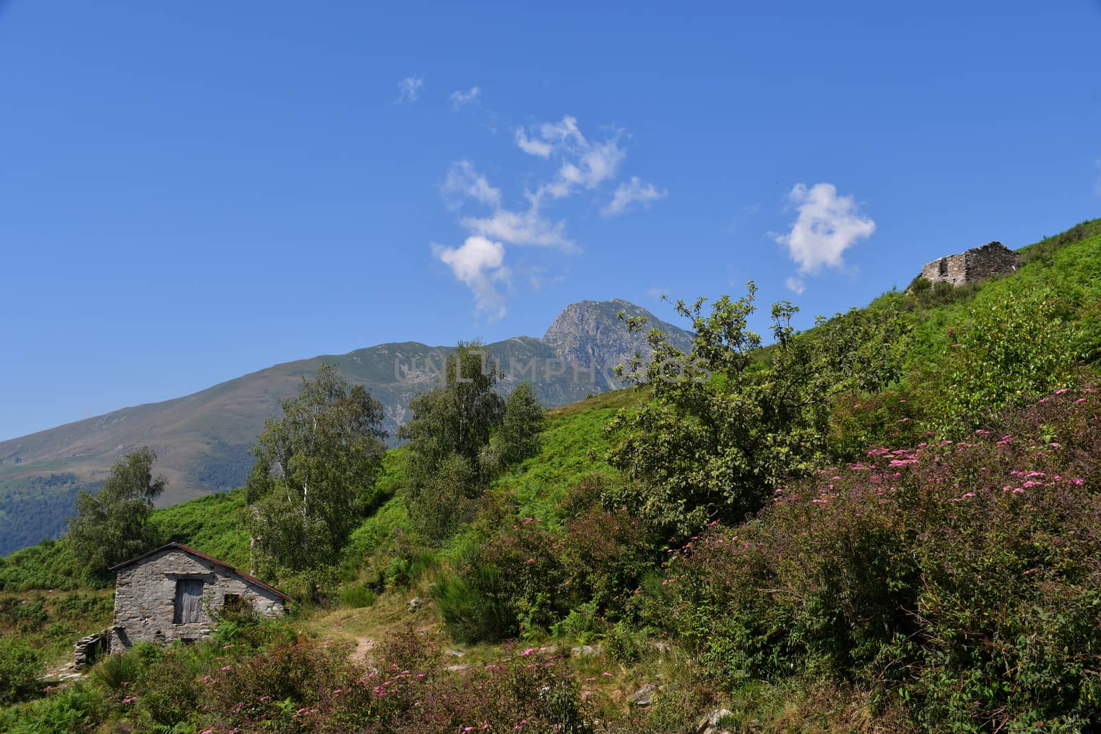 The Mucrone Montain by bongia