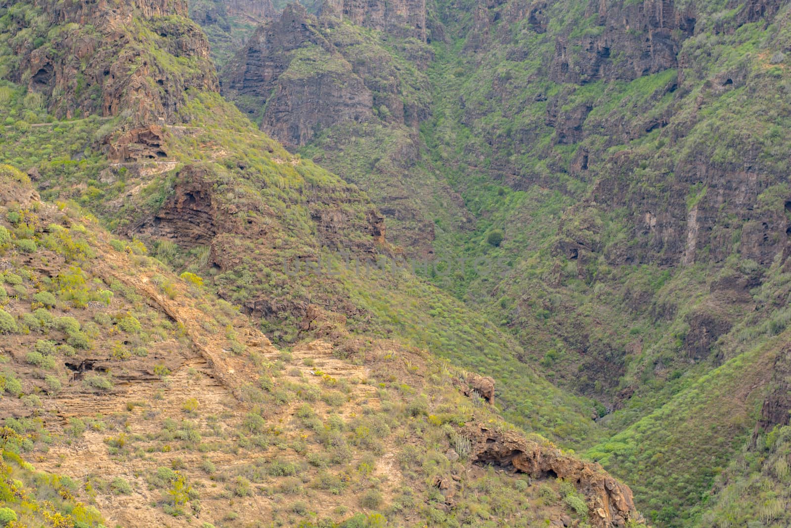 Beautiful landscapes of Barranco del Infierno in Tenerife.