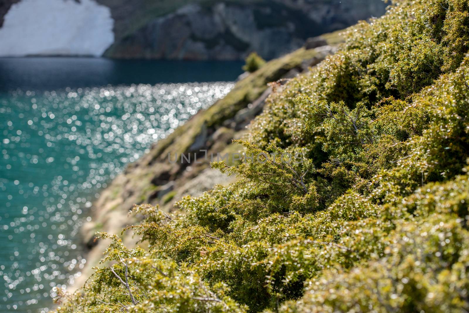 Beautiful Querol Lake in the mountain refuge in the Incles Valley, Canillo, Andorra.