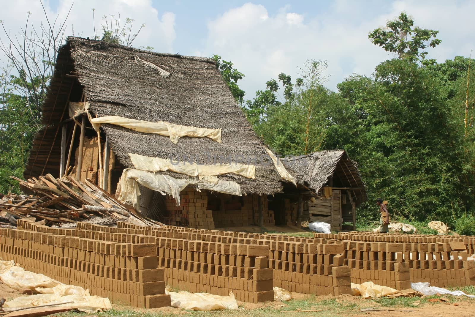 Sri Lanka 4.5.2006 manufacture of traditional mud bricks for building. High quality photo