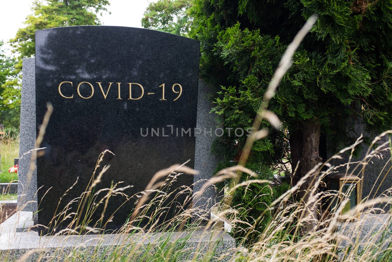 COVID-19 written on tombstone by Plyushkin