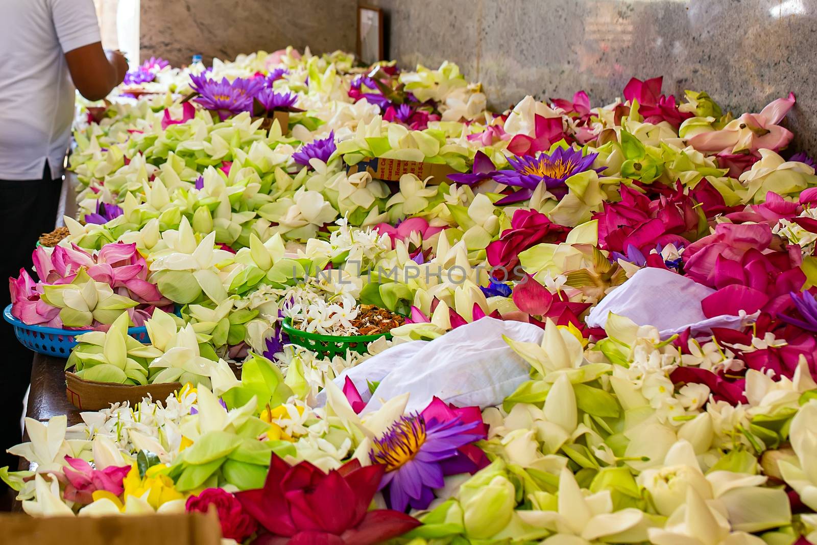 close-up Flowers in a Buddhist temple. Colorful flower offerings to Buddha inside temple of the sacred Bodhi Tree in Anuradhapura, Sri Lanka. The act of worship and a part of Buddhist praying ceremony