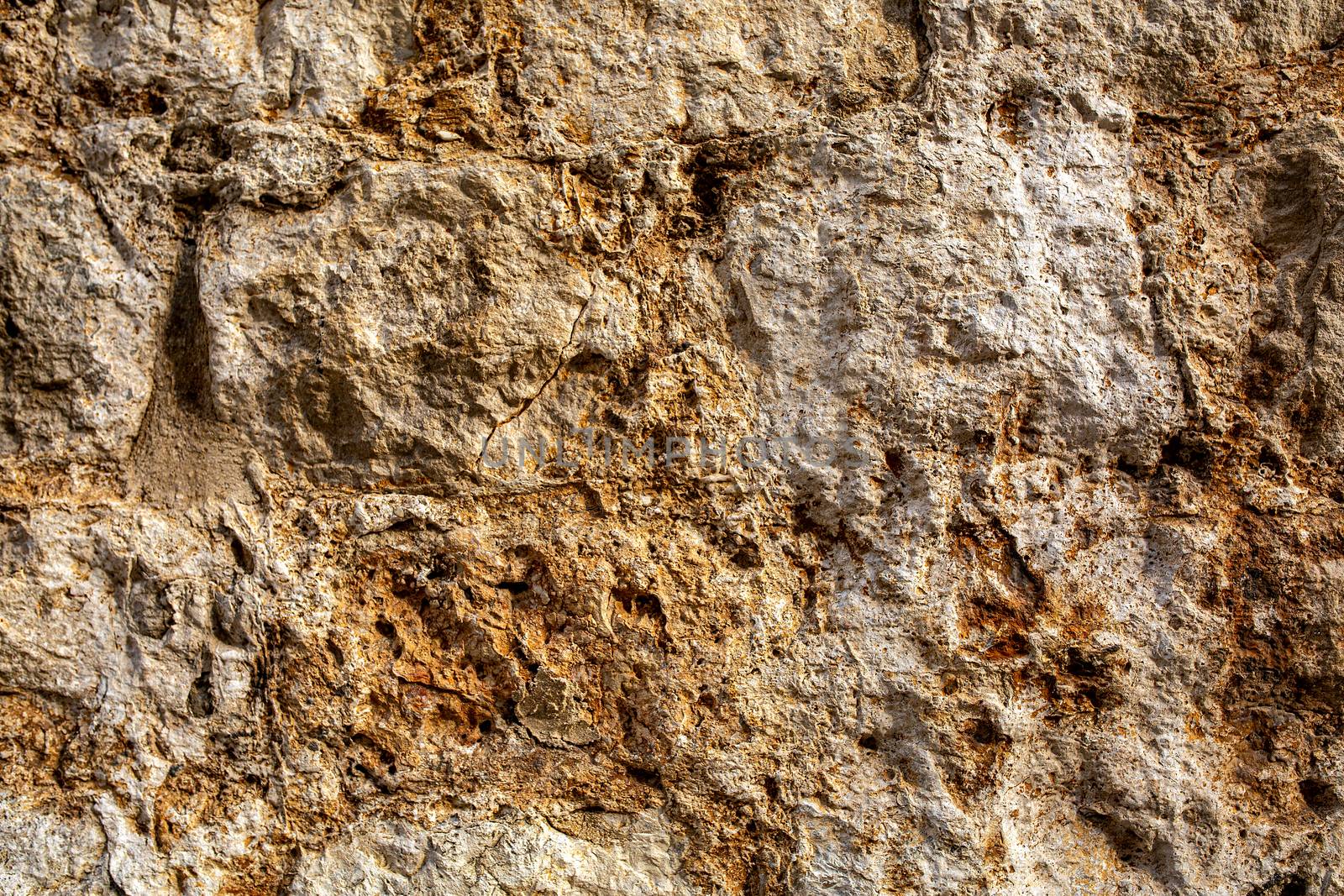Rough stone surface with cracked cockleshell. Background texture