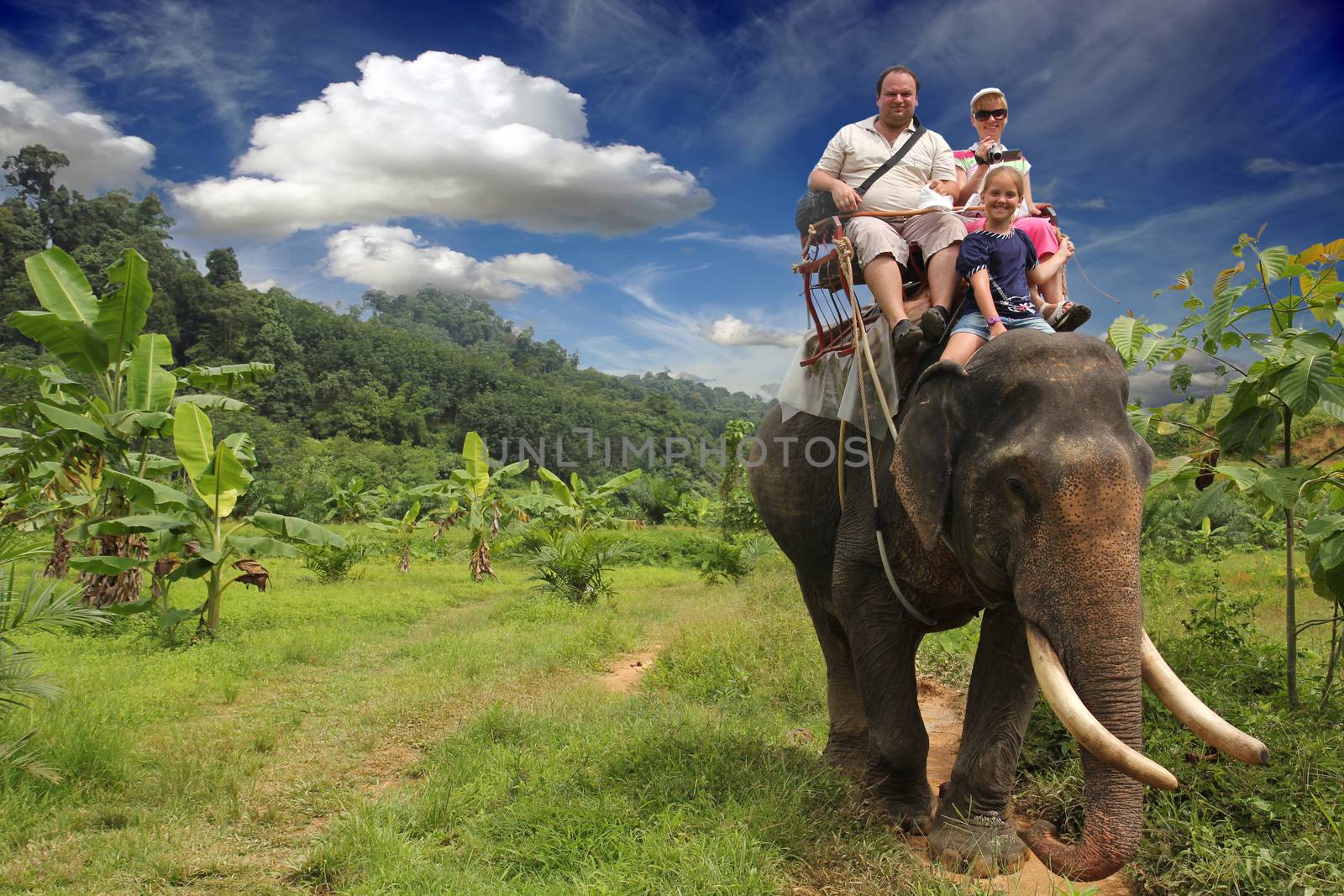 Riding an elephant. A young family with a child ride an elephant on a background of green jungle and a beautiful blue sky with clouds.