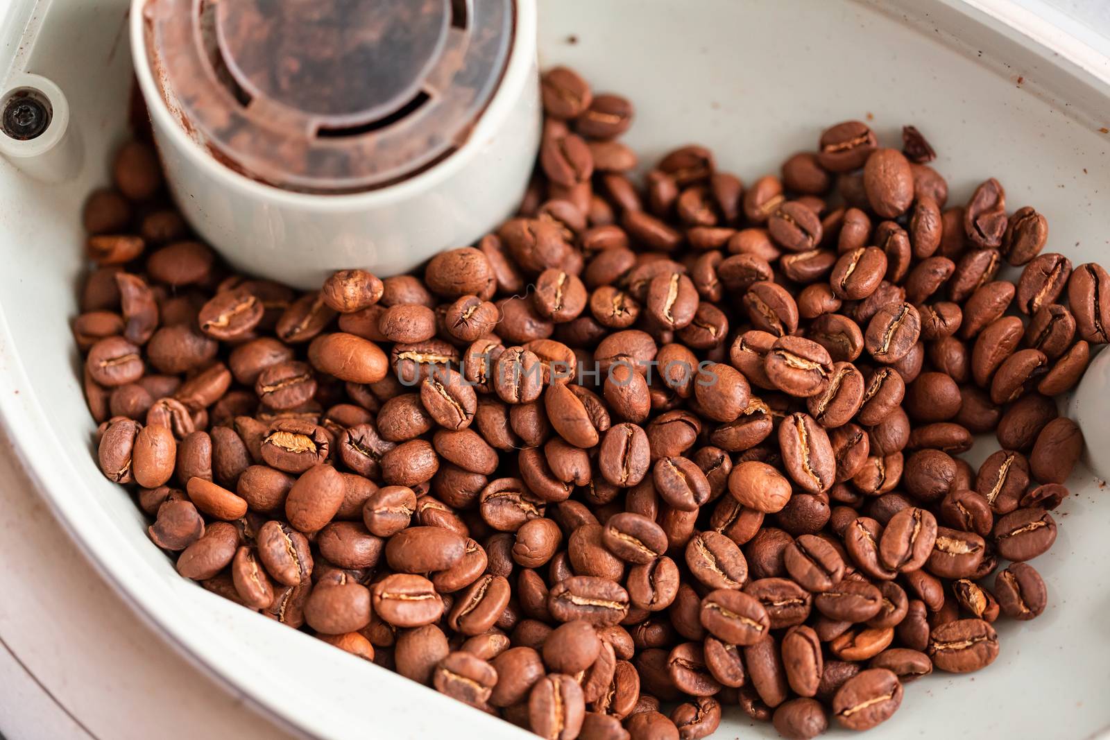 Coffee beans into the coffee machine dispenser before preparing coffee.
