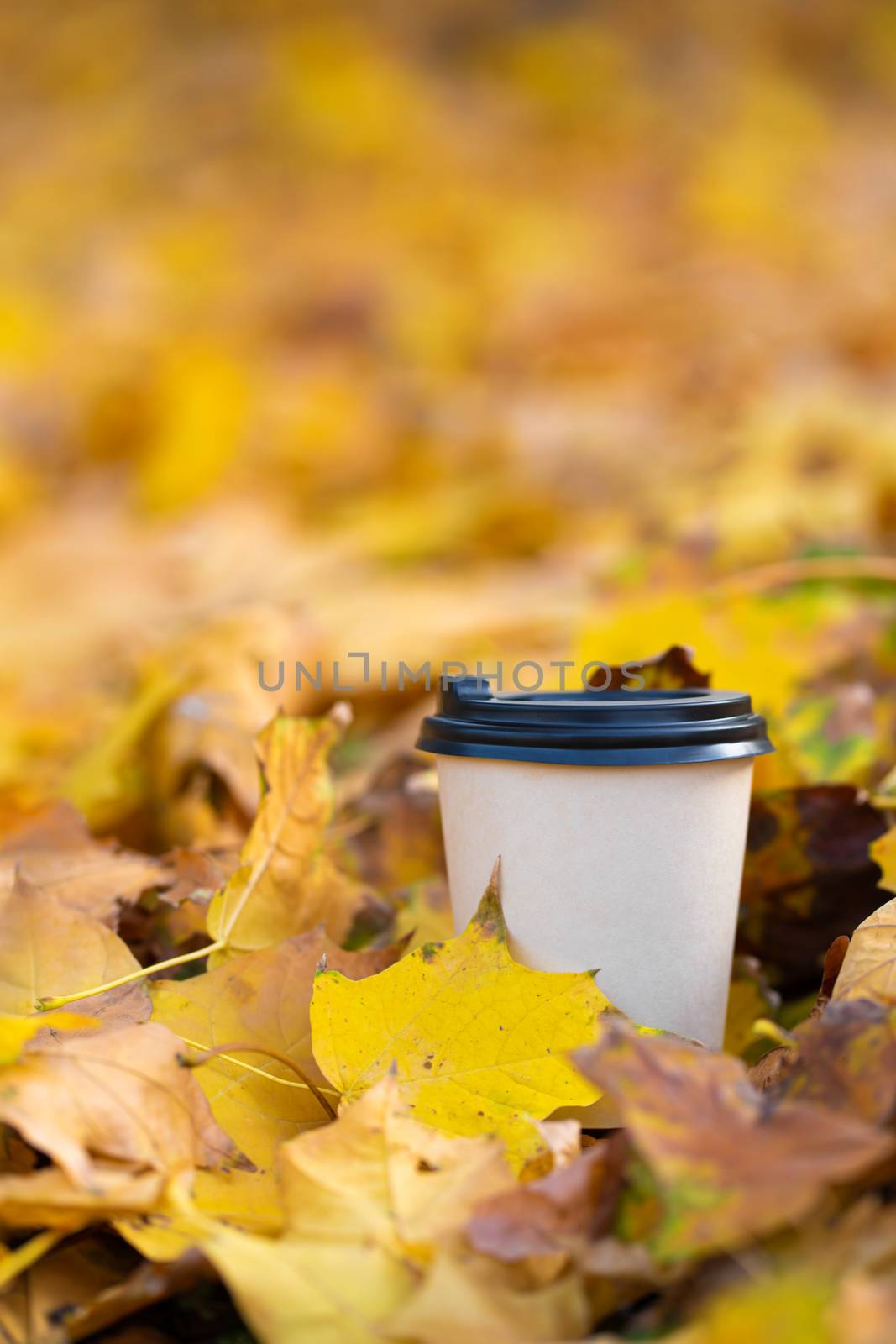 Close-up of a craft cup of hot coffee in fallen yellow leaves.