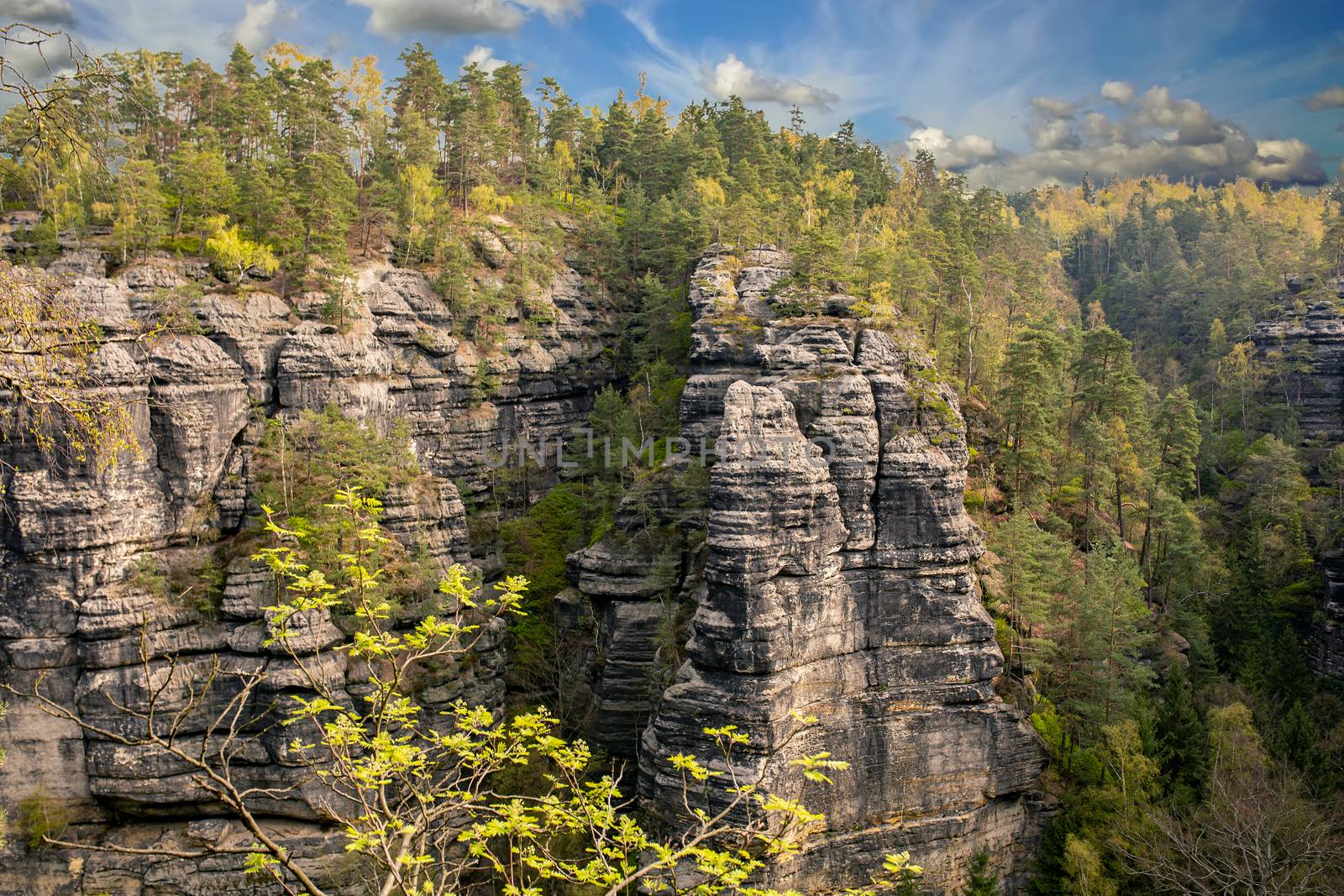The Elbe Sandstone Mountains are a sandstone massif on the upper reaches of the Elbe River in Germany and the Czech Republic. Czech Bohemia or Saxony in Germany.