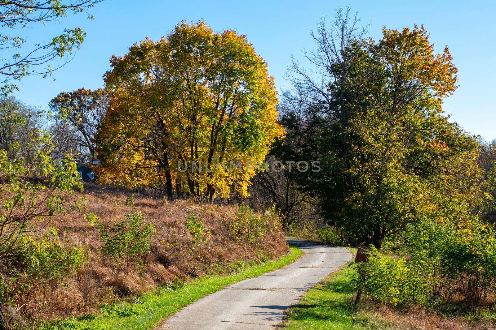 A Paved Pathway Leading Into an Autumn Forest at Valley Forge National Historical Park