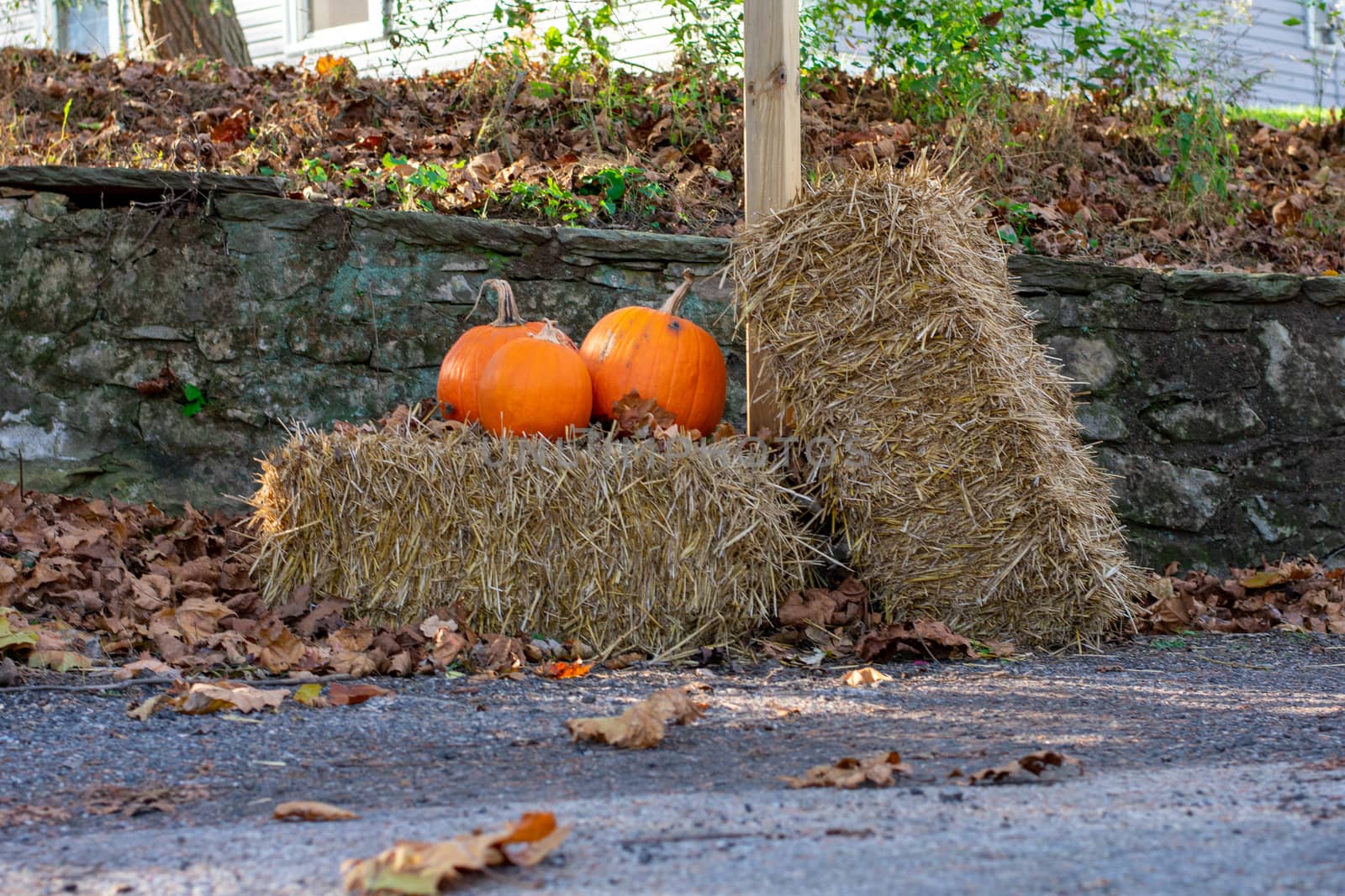Three Bright Orange Pumpkins on a Hay Bale in Front of a Wooden Pole