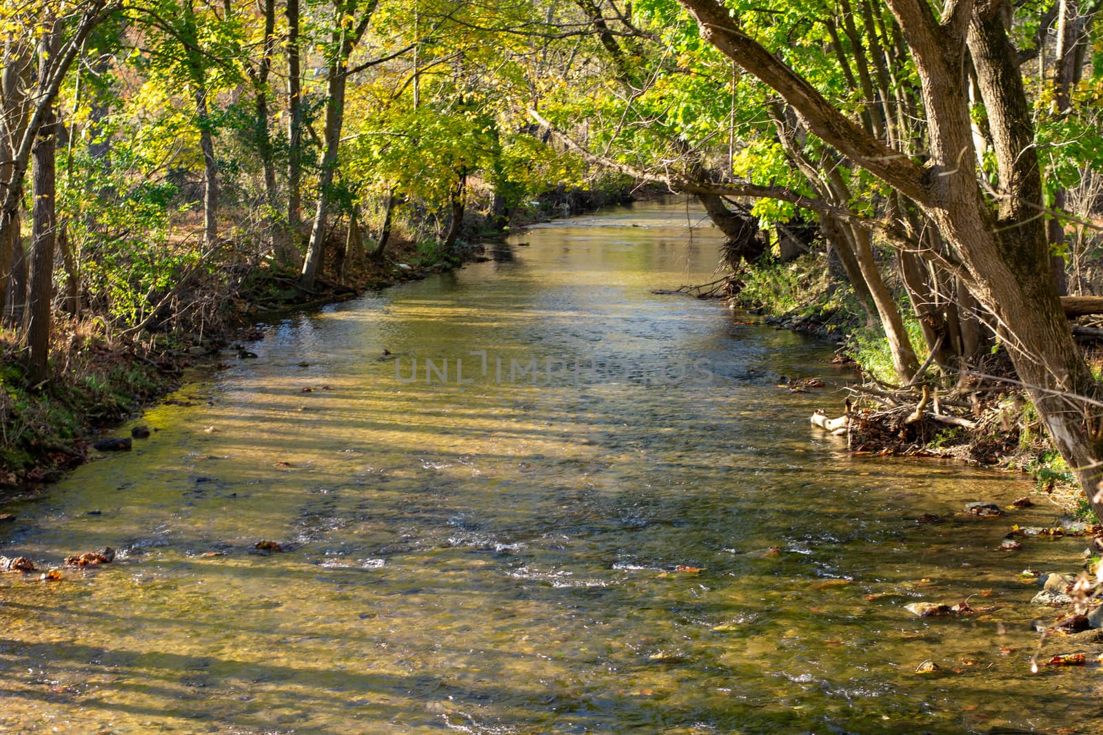 A Shallow Stream on a Clear Autumn Day by bju12290