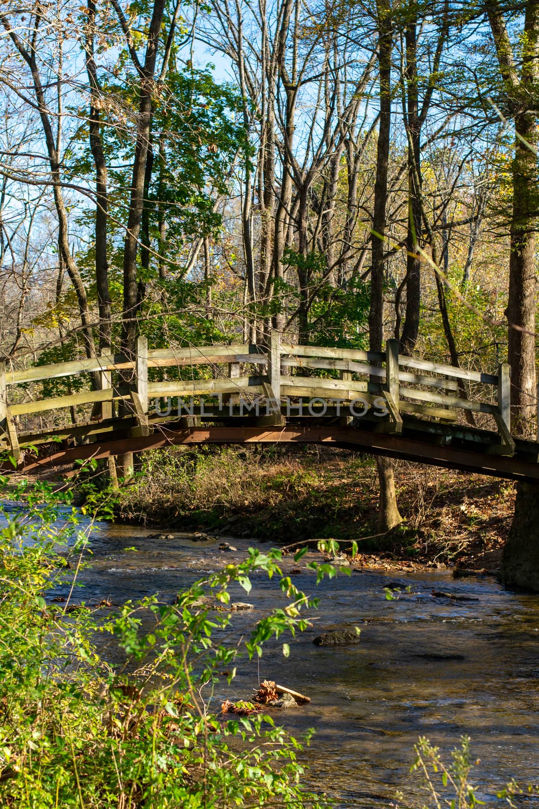 A Wooden Bridge Going Over a Small Stream on a Clear Autumn Day by bju12290