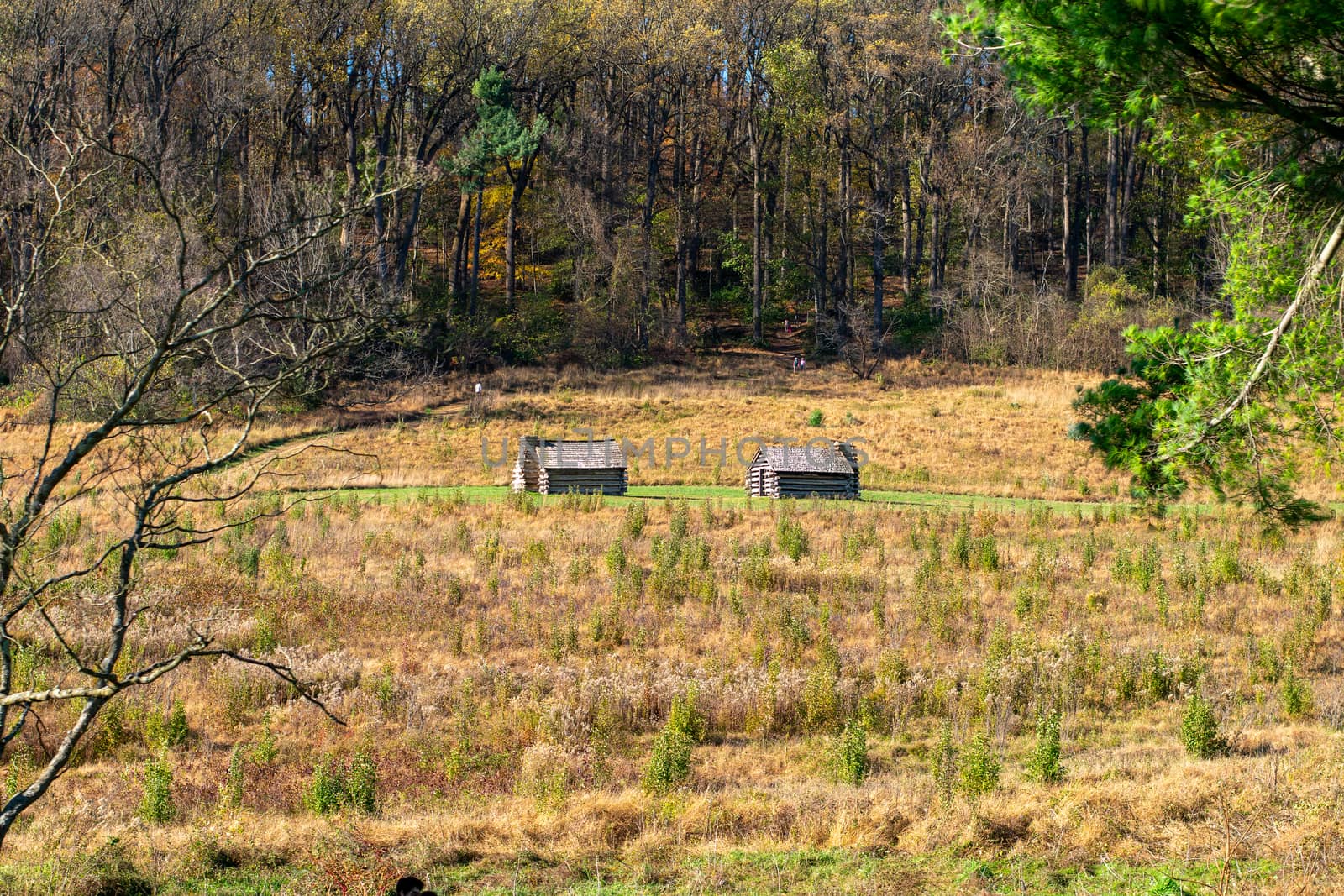 Two Reproduction Log Huts in a Large Field in Valley Forge National Historical Park