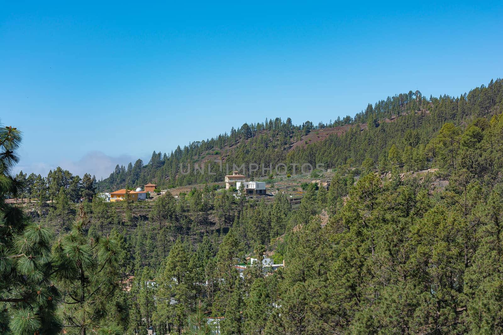 Mountain landscape. The slope of the mountain green trees and lonely houses. Stock photography