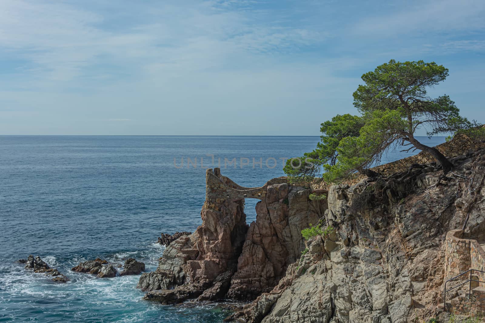 Seascape. Sea rocky shore with a lone tree on the mountainside. Stock photo