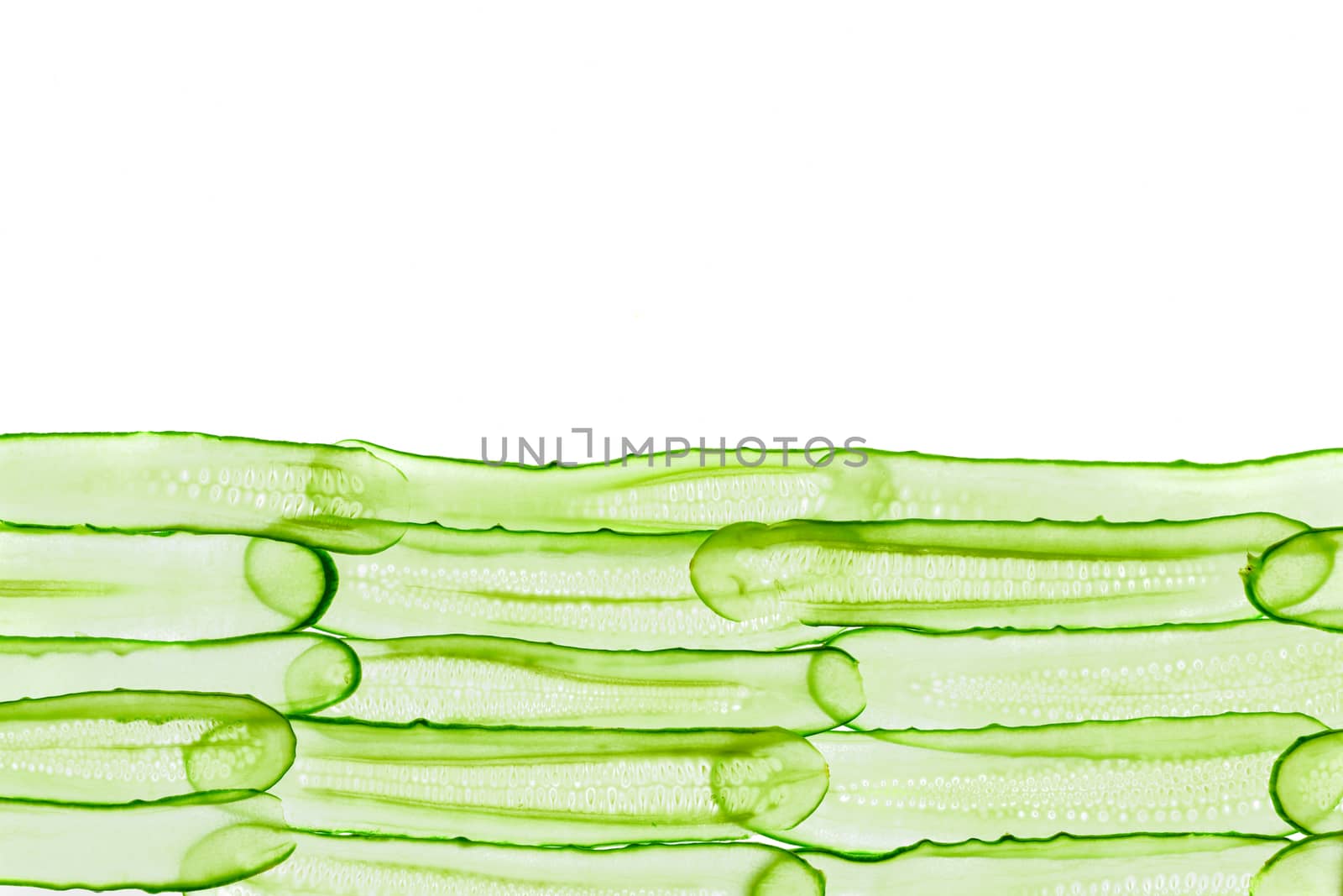 fresh sliced cucumber isolated on white background. Top view by sashokddt