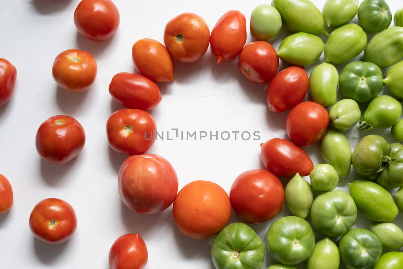 Optimal green and red tomatoes in the foreground