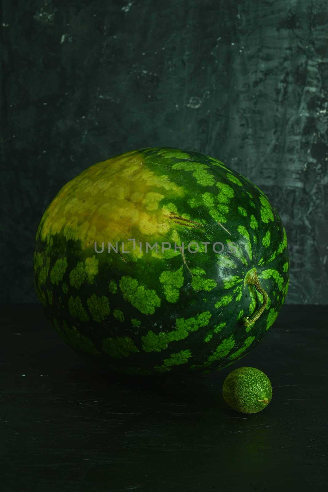 A whole big watermelon on a black table background by sashokddt