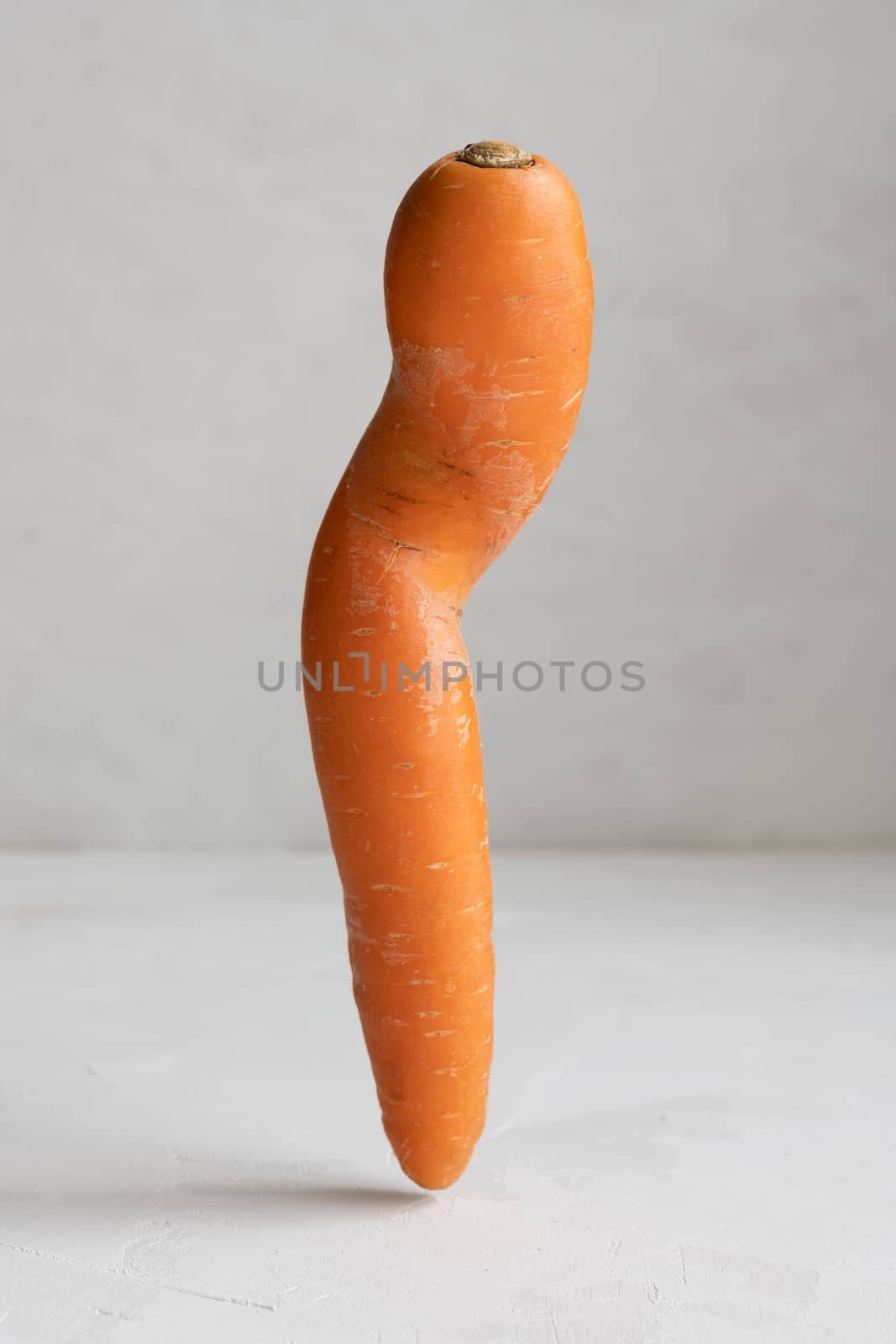 Ugly crooked carrot. Carrot isolated on white background. by sashokddt