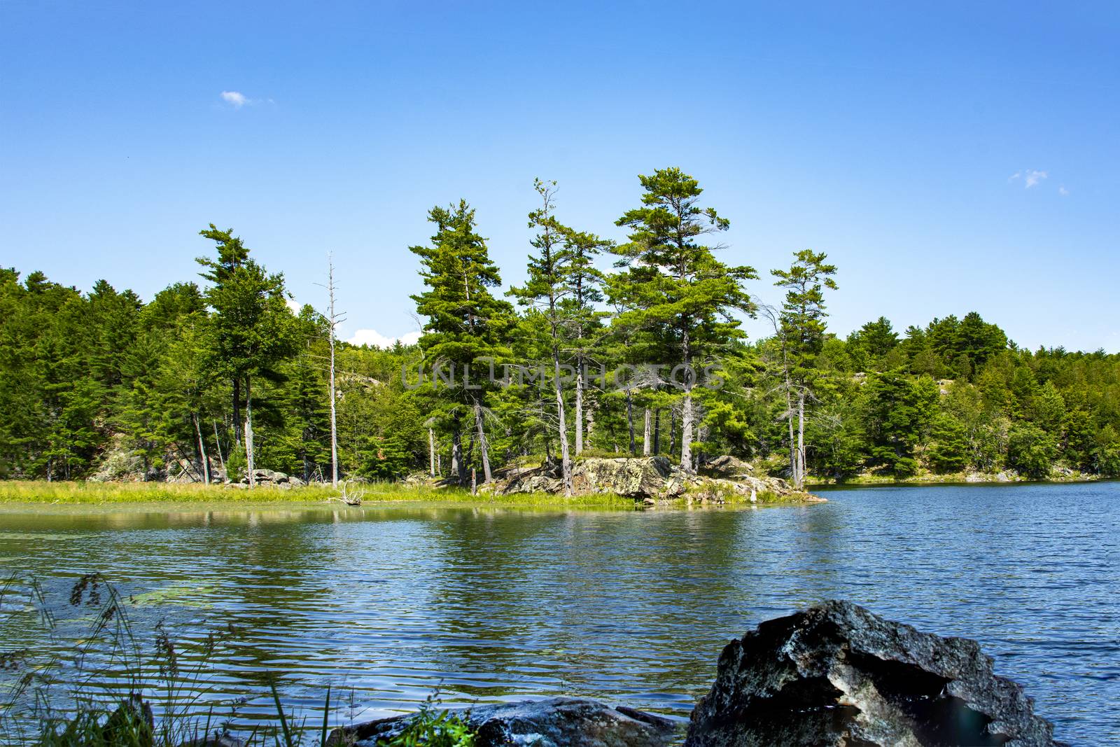 Landscape with a small island with tall trees and large stones on a lake surrounded by a wild forest