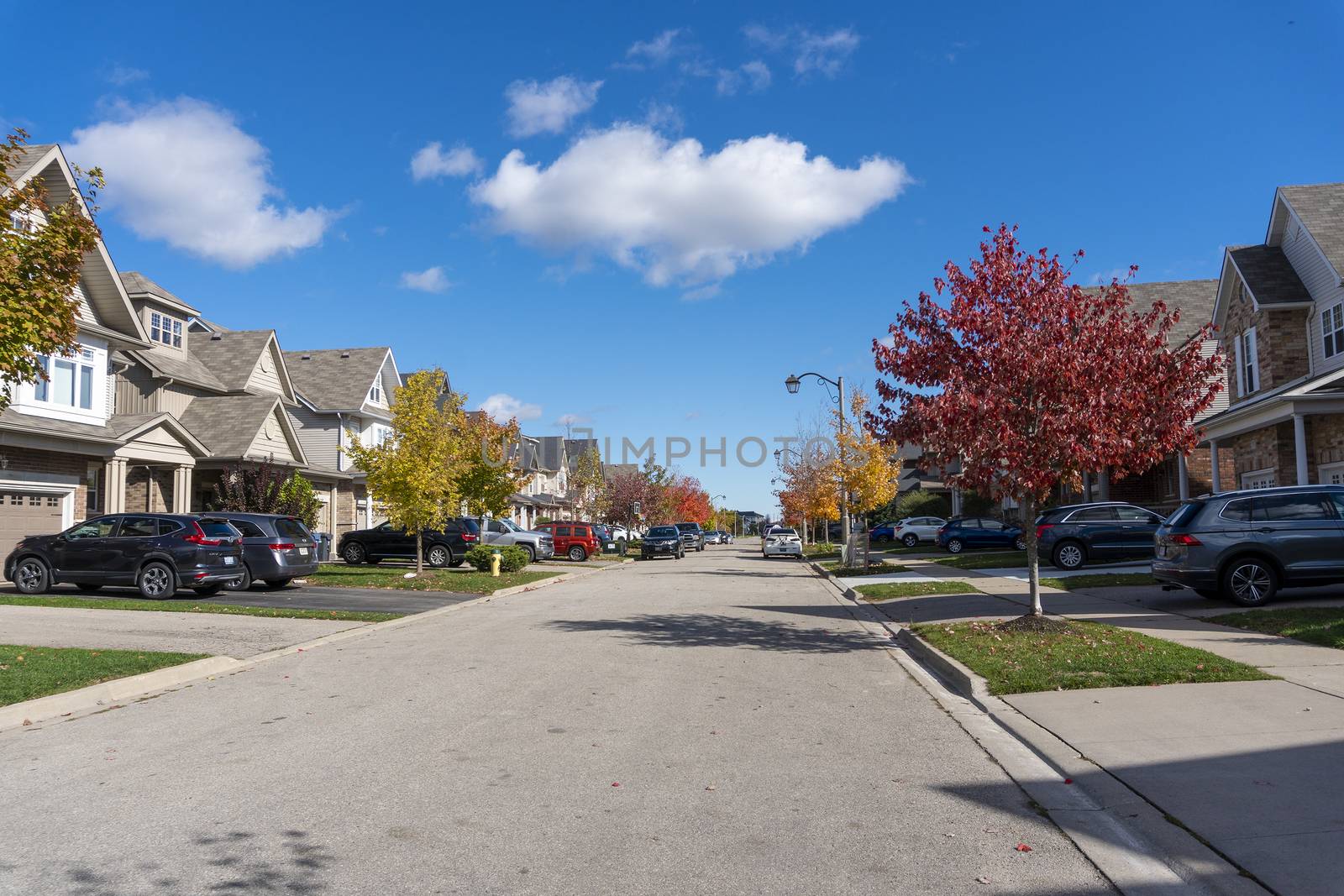 Young maples were planted in the city, in new districts, and by autumn they painted the city with magical colors